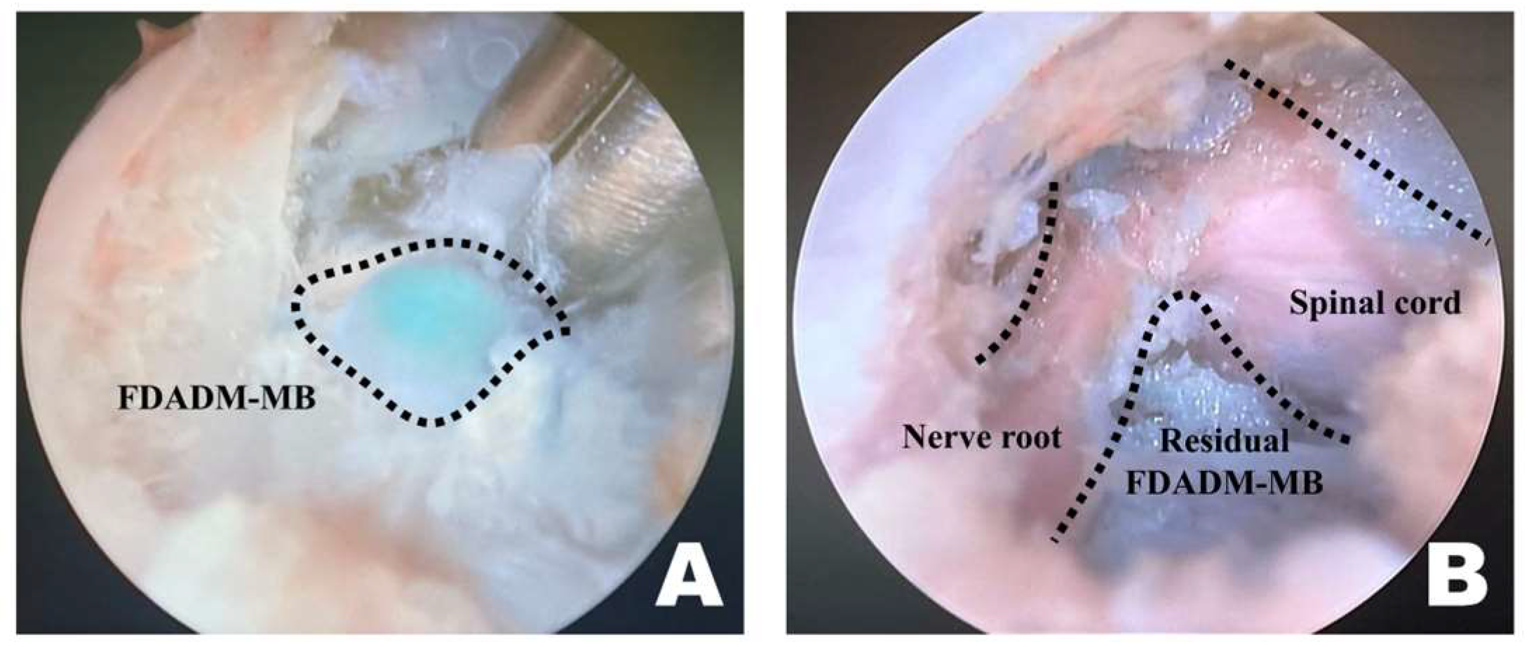 Animals 16 00435 g005