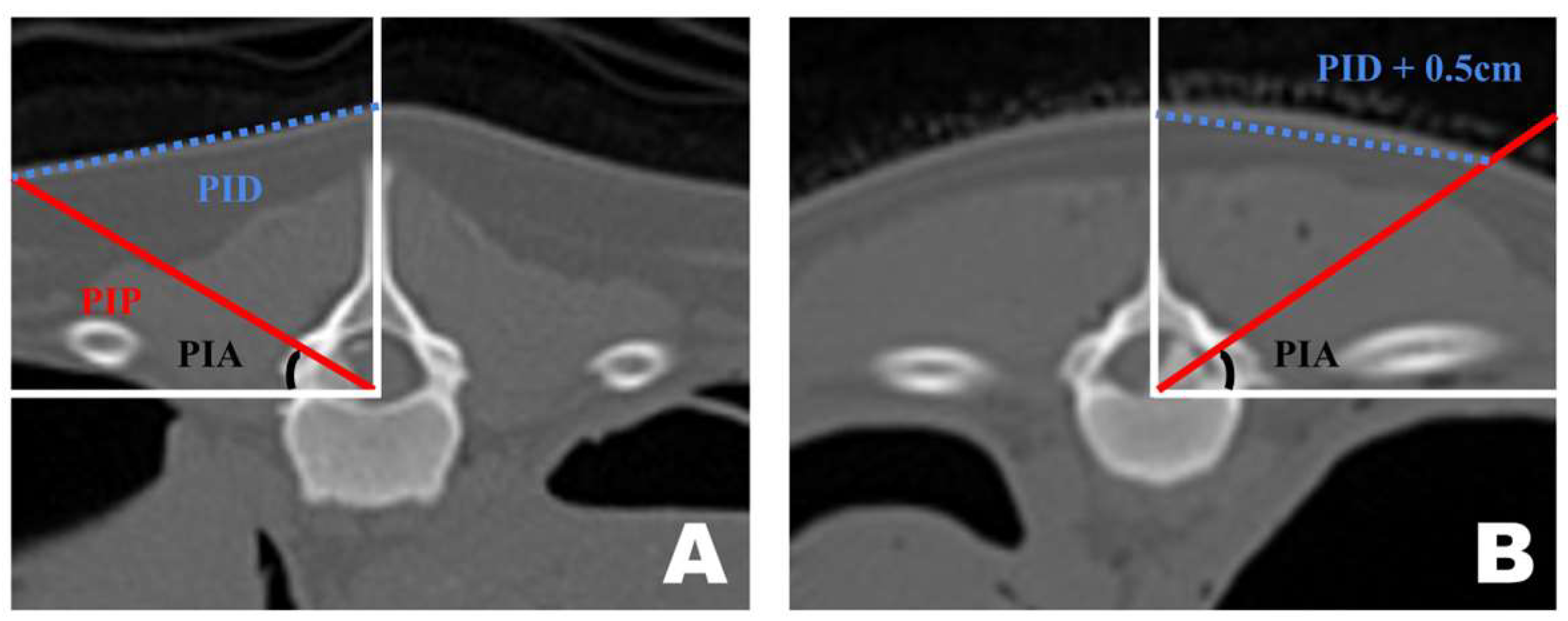 Animals 16 00435 g006