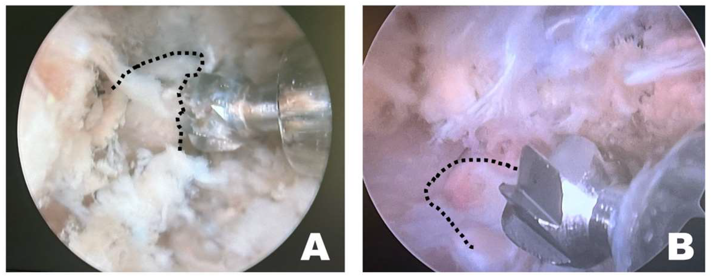 Animals 16 00435 g007