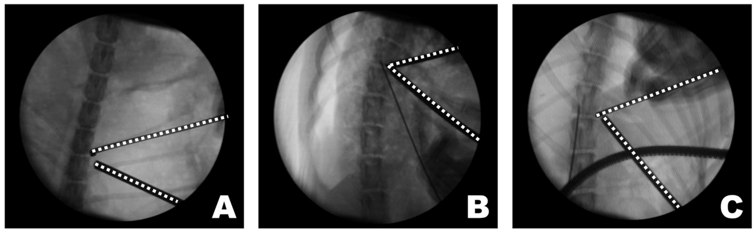 Animals 16 00435 g008