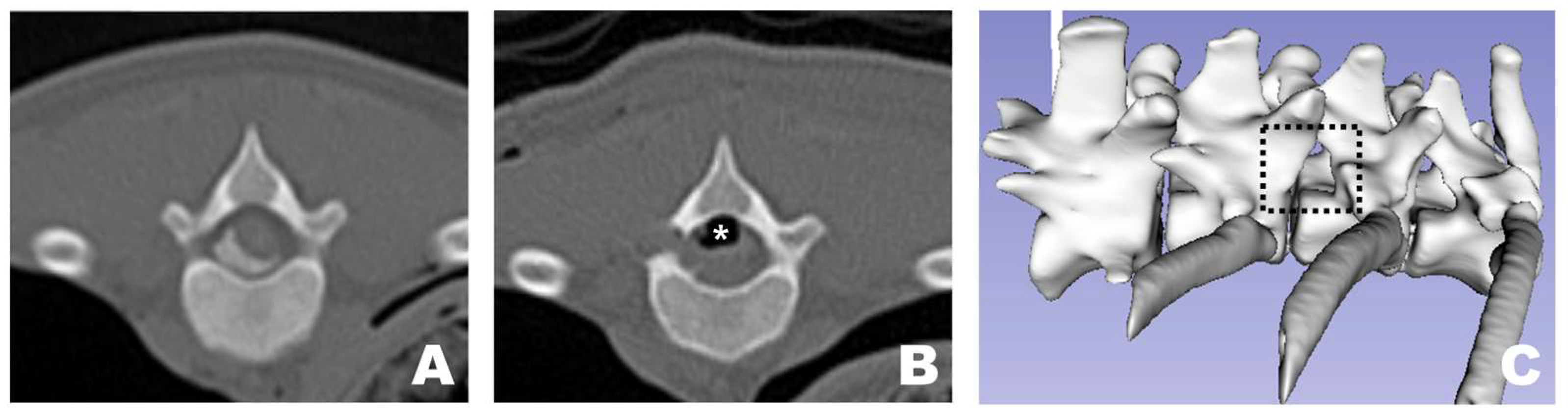 Animals 16 00435 g010