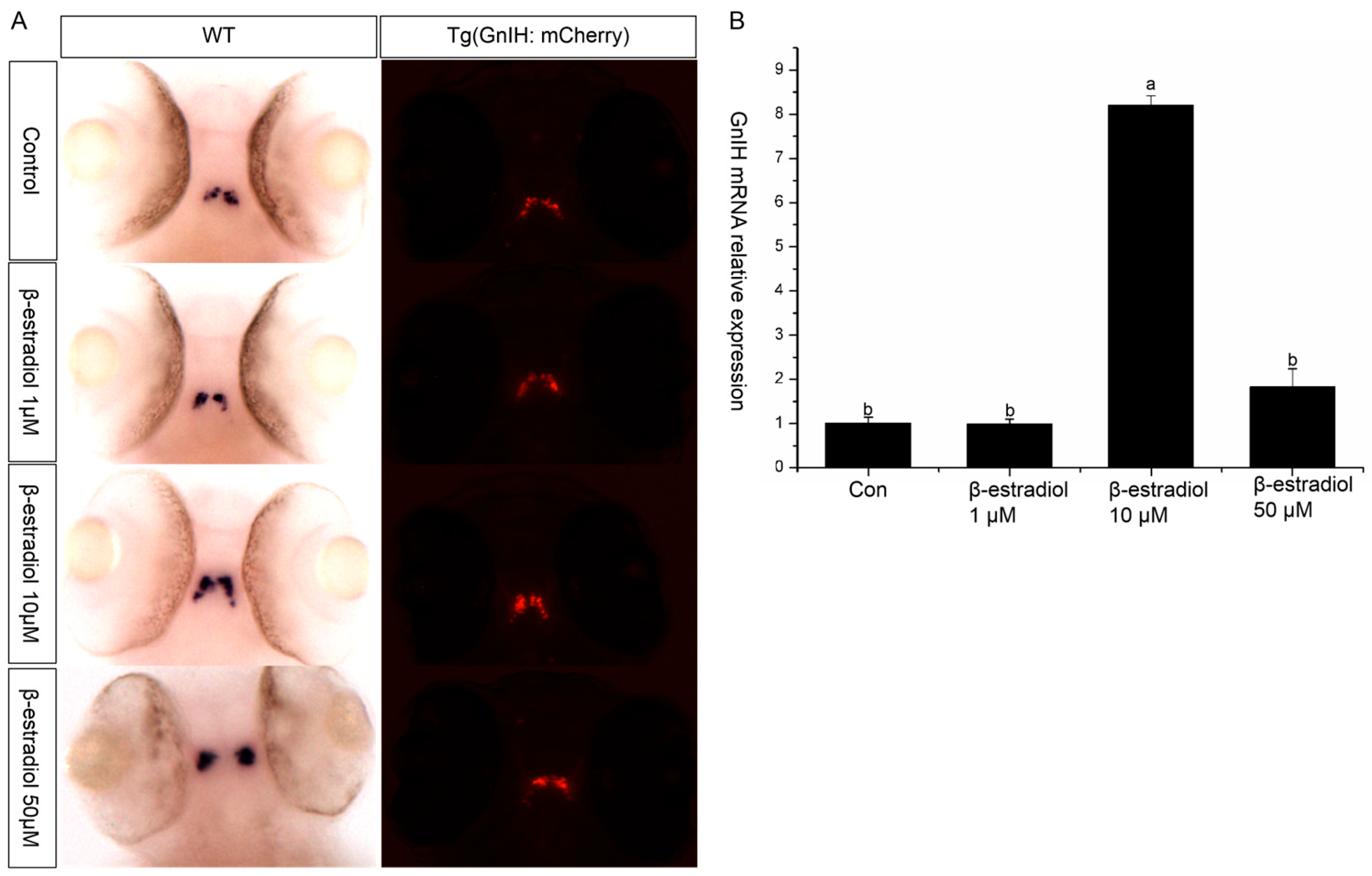 Animals 16 00444 g004