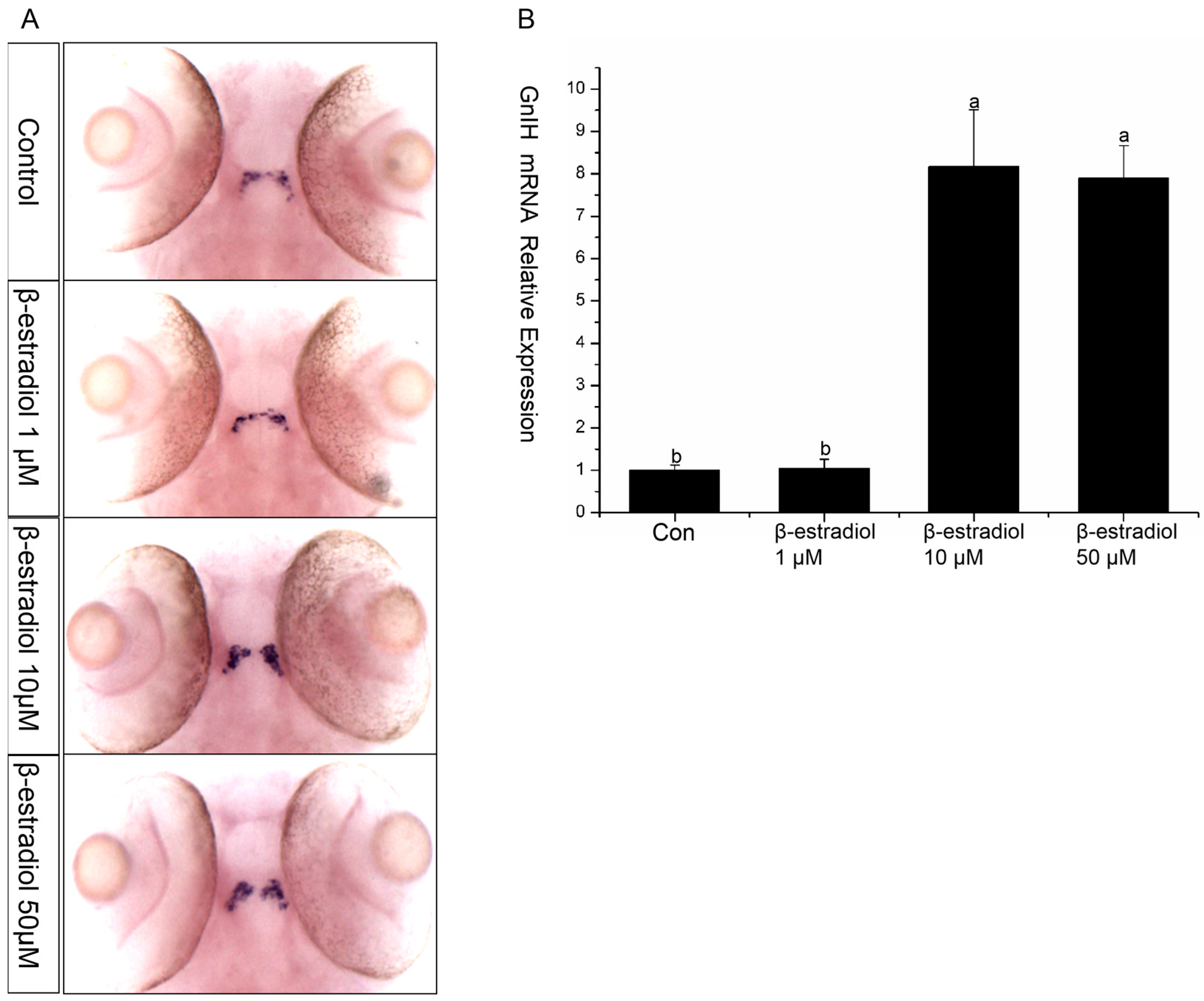 Animals 16 00444 g005
