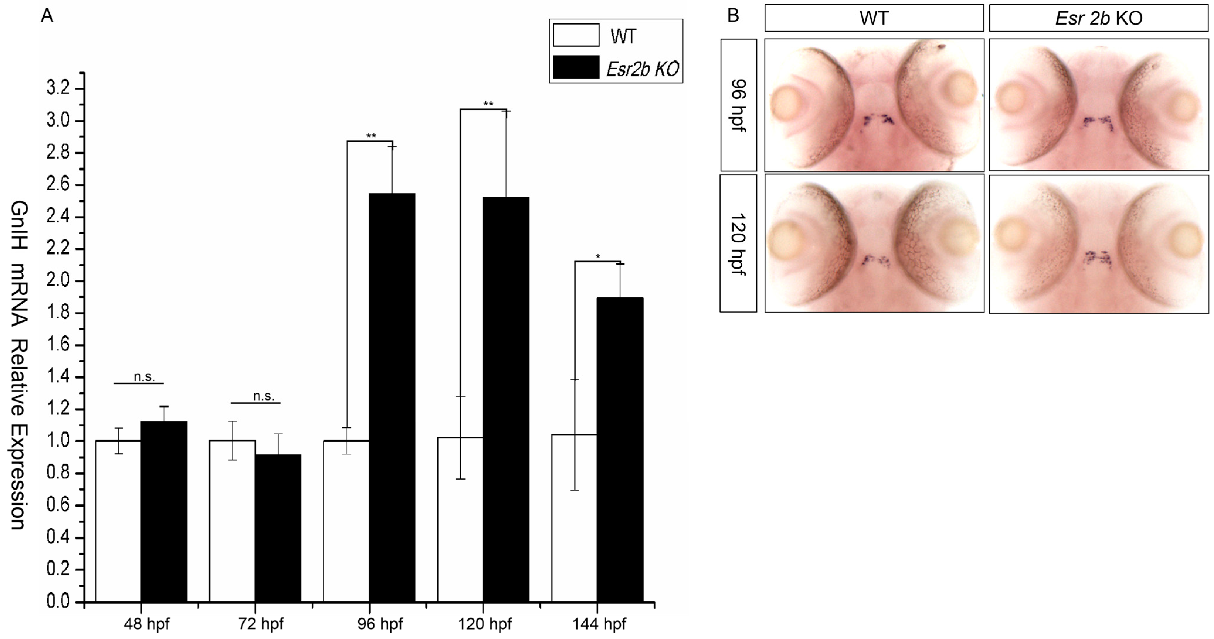 Animals 16 00444 g006