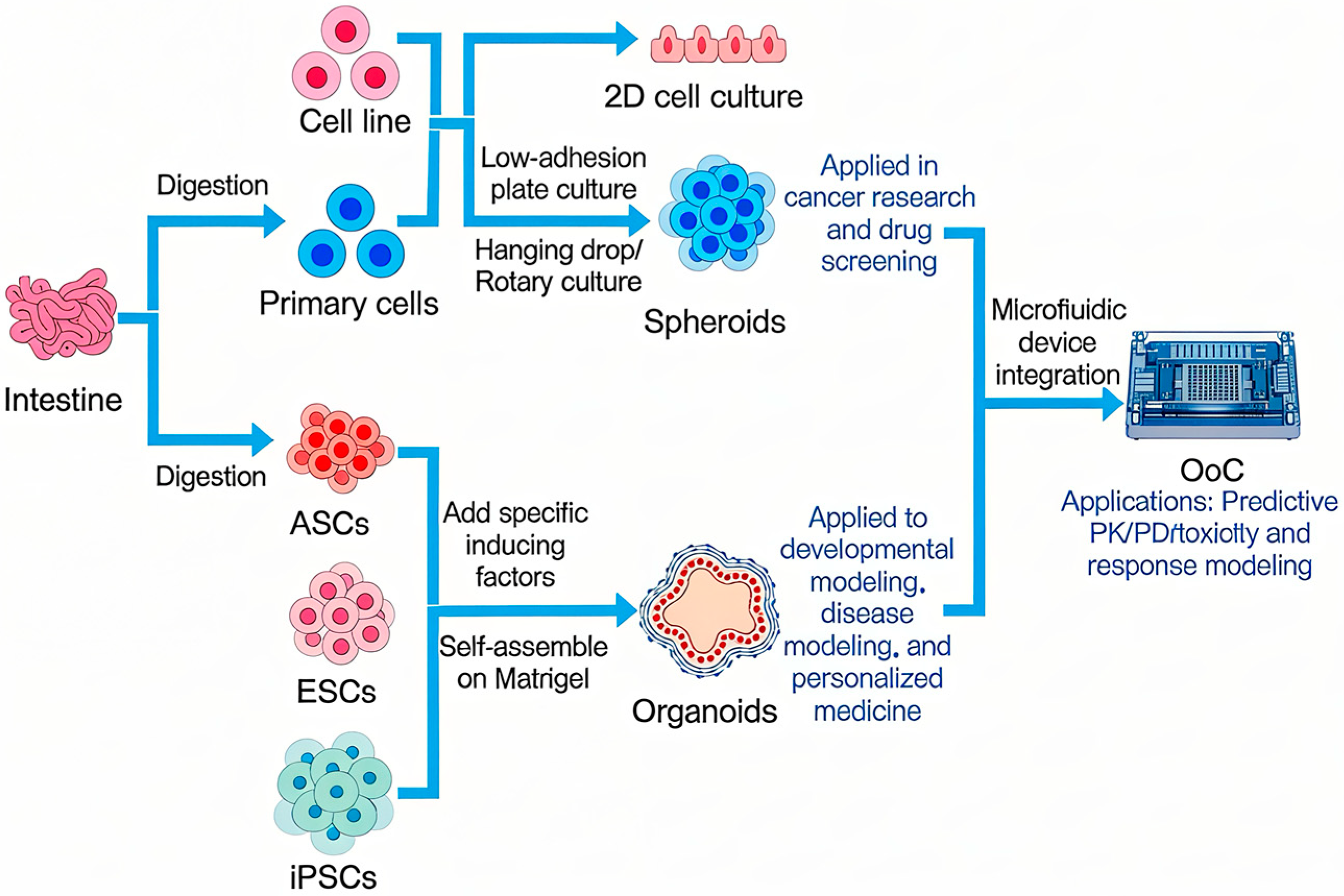 Animals 16 00469 g001