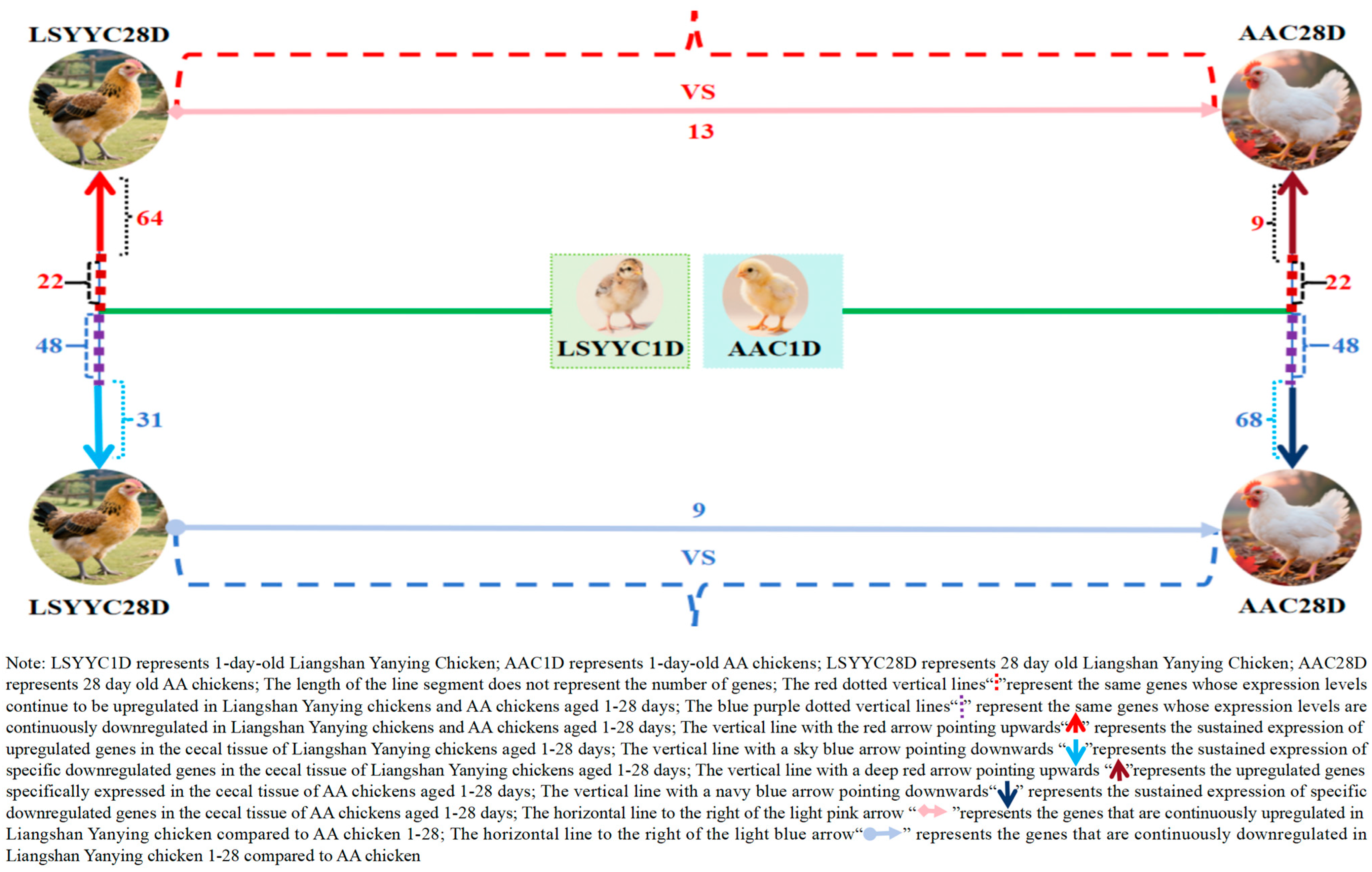 Animals 16 00474 g004