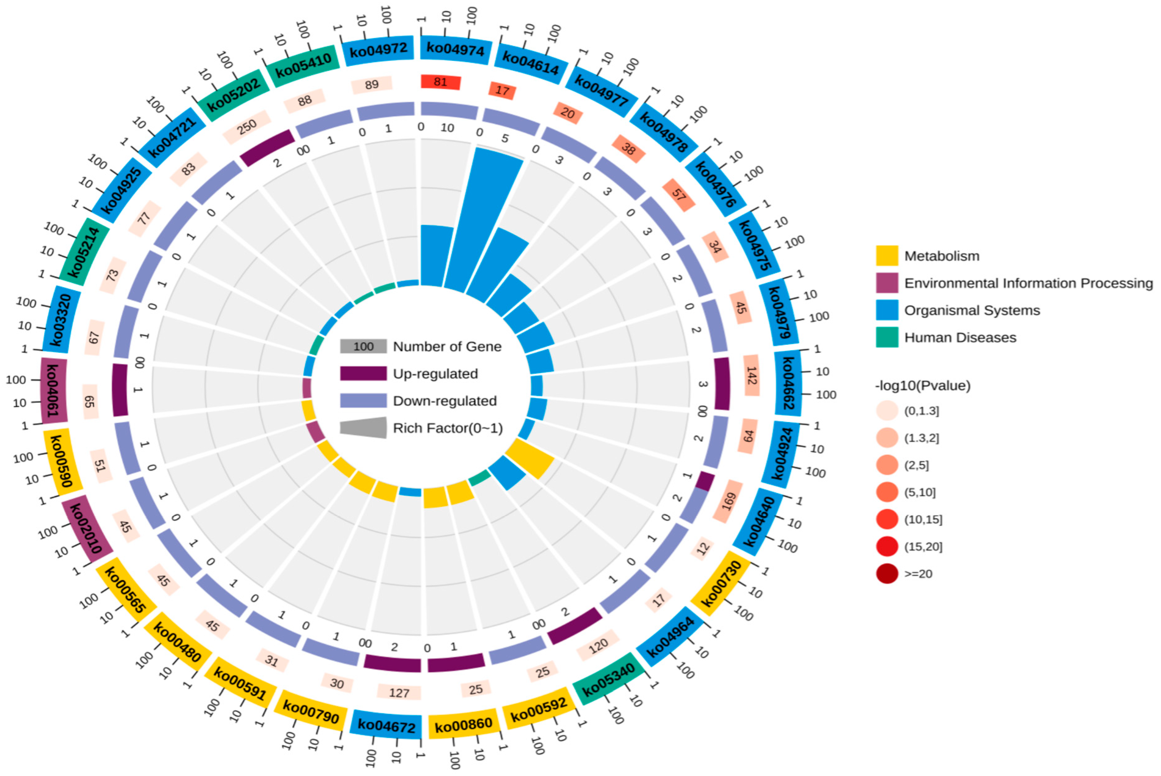Animals 16 00474 g005