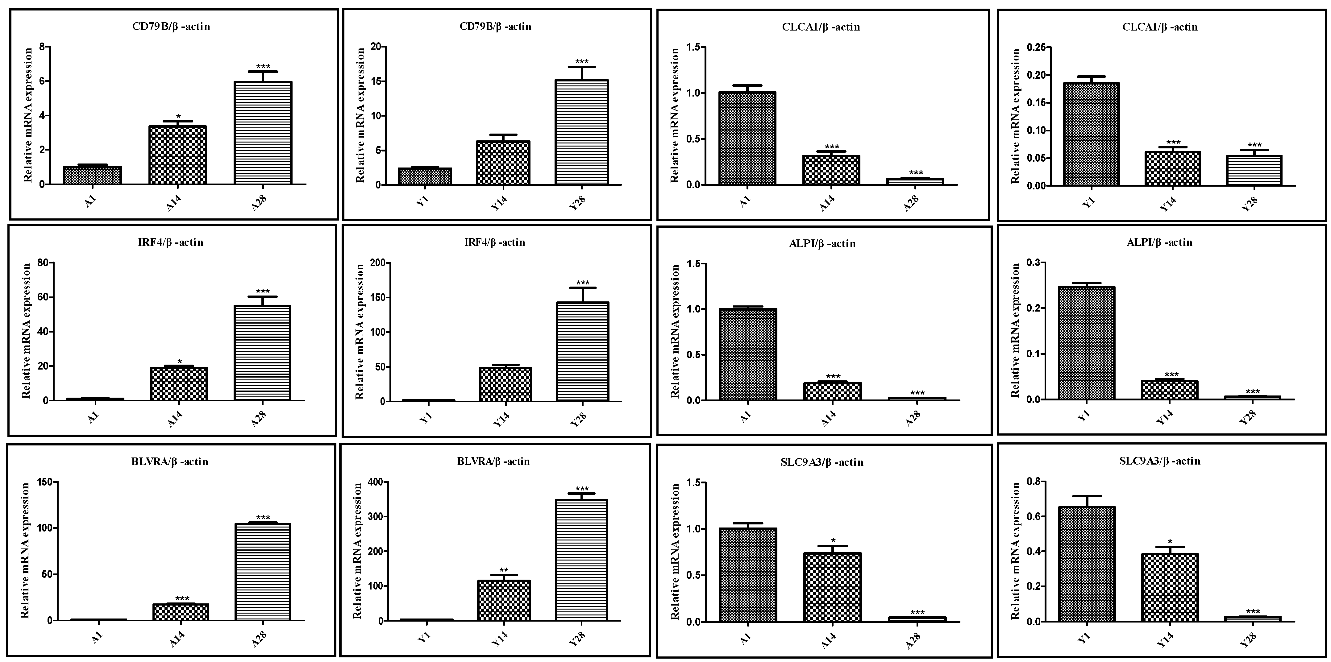 Animals 16 00474 g007