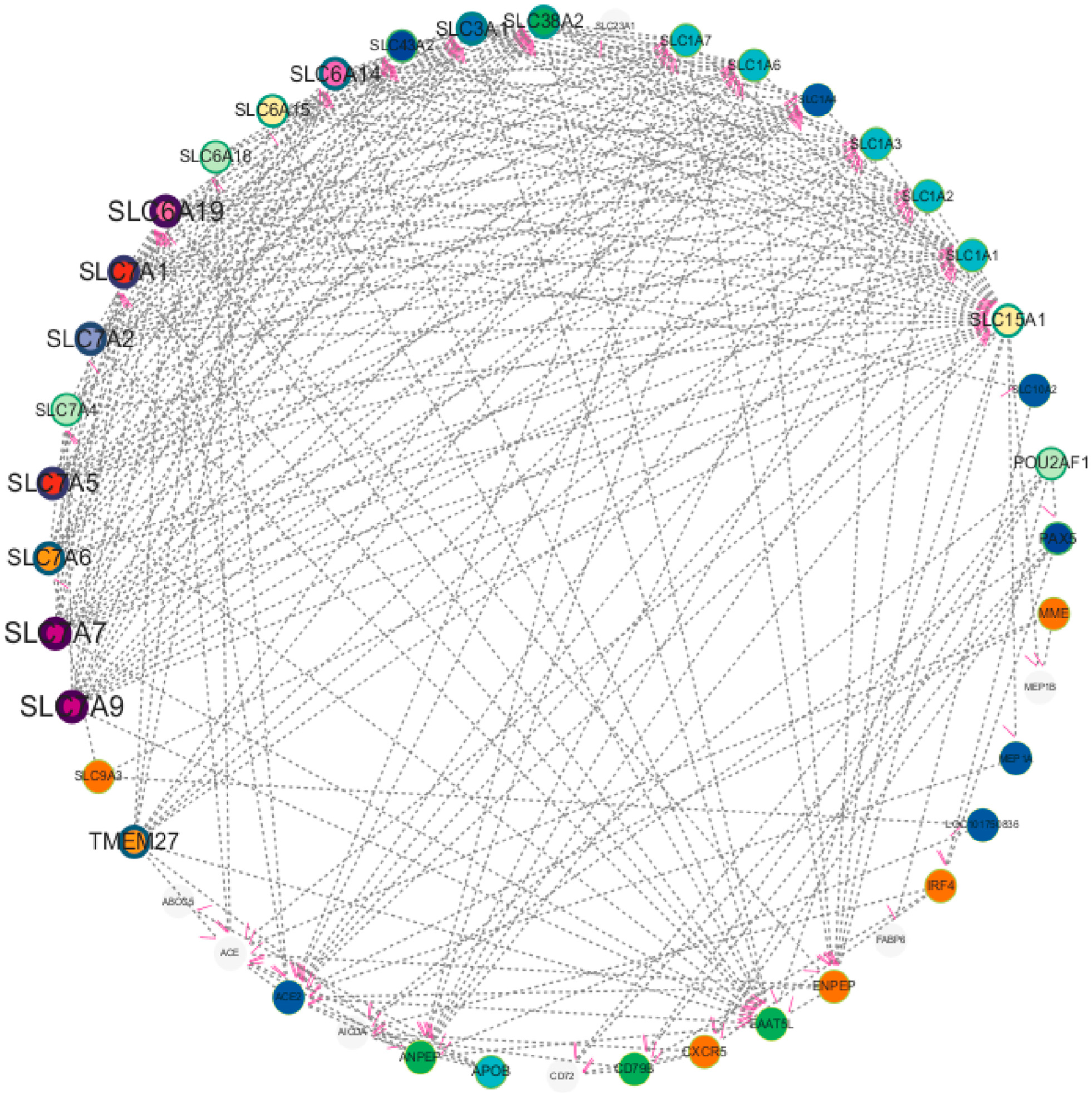 Animals 16 00474 g008