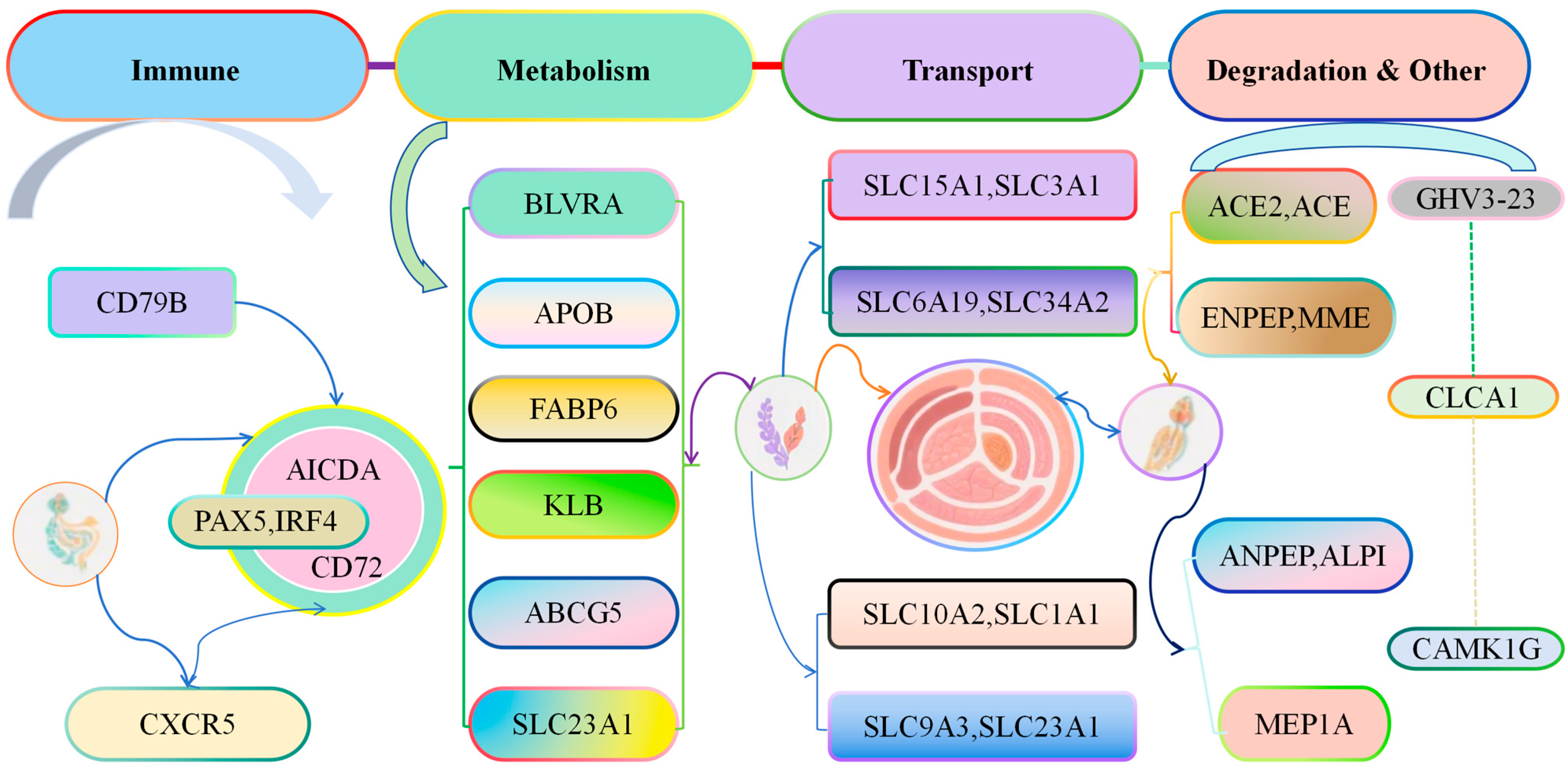 Animals 16 00474 g009