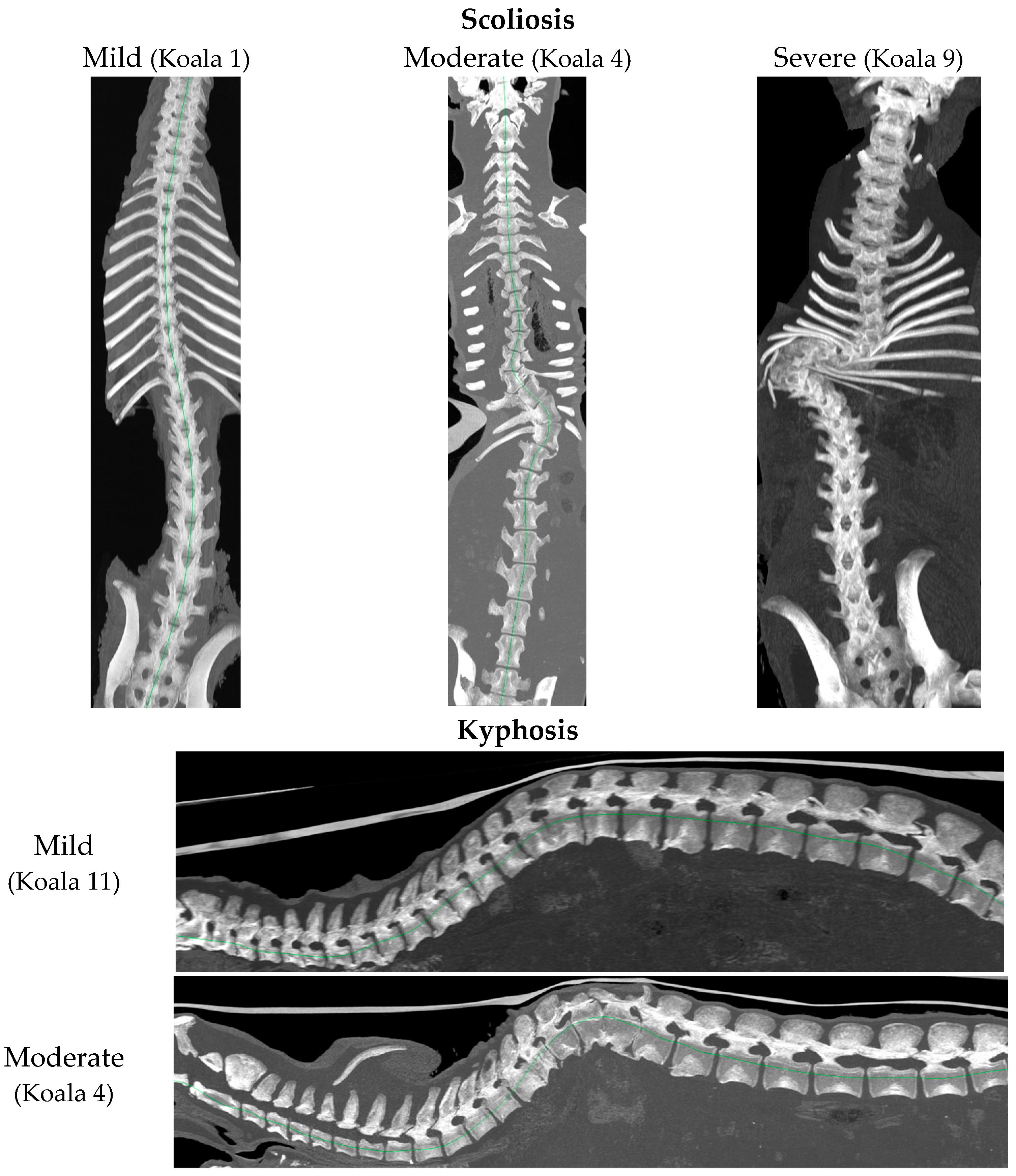 Animals 16 01710 g002a Animals 16 01710 g002a