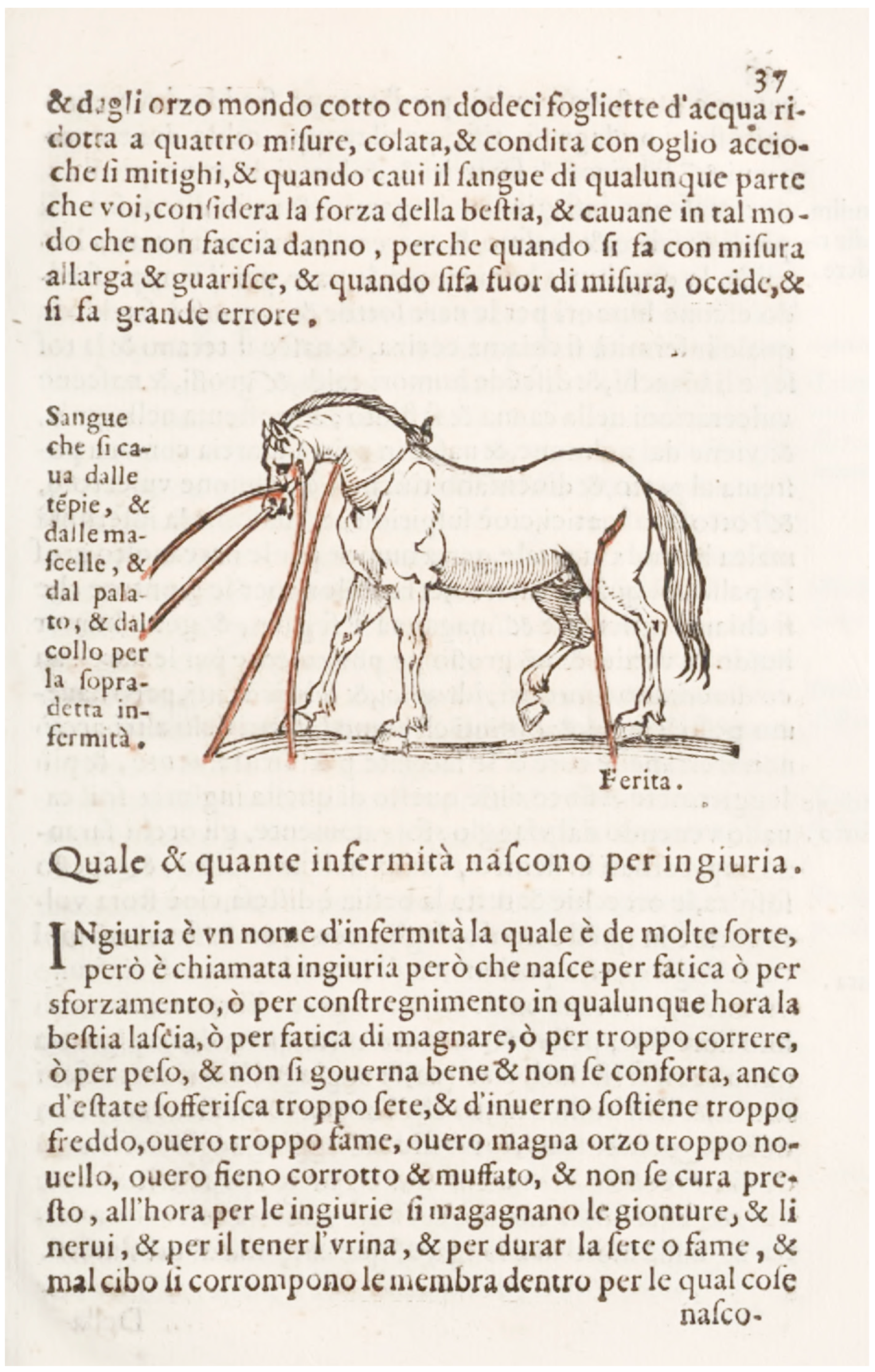Animals 16 03278 g003