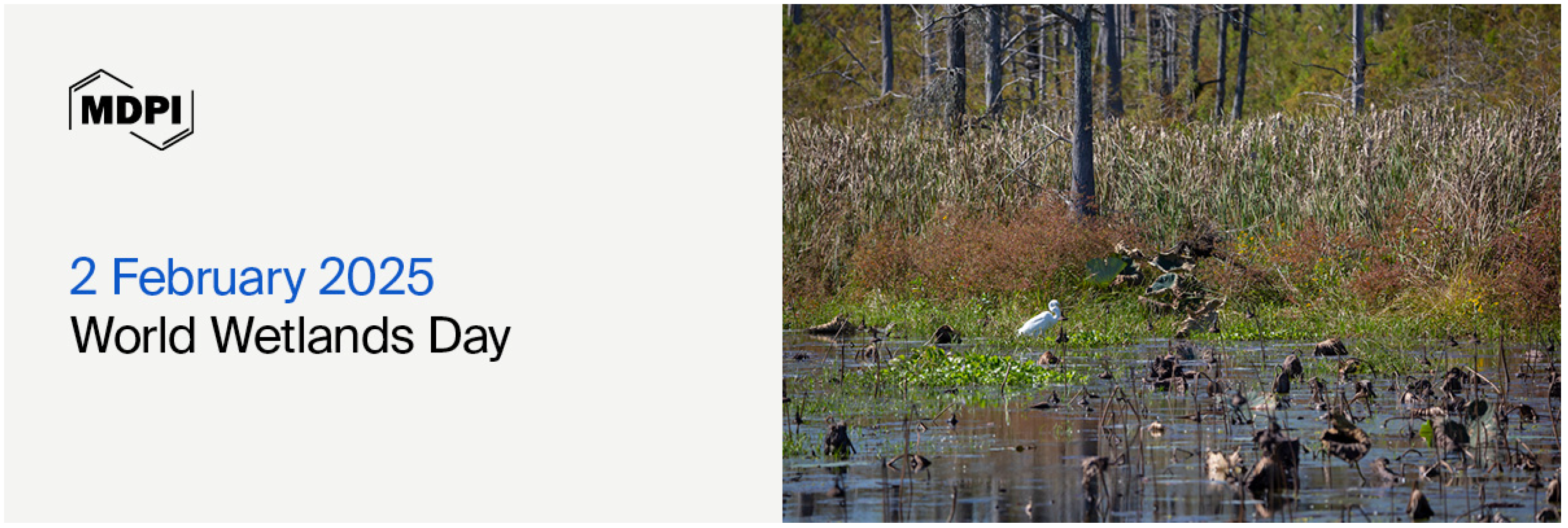 World Wetlands Day, 2 February 2025