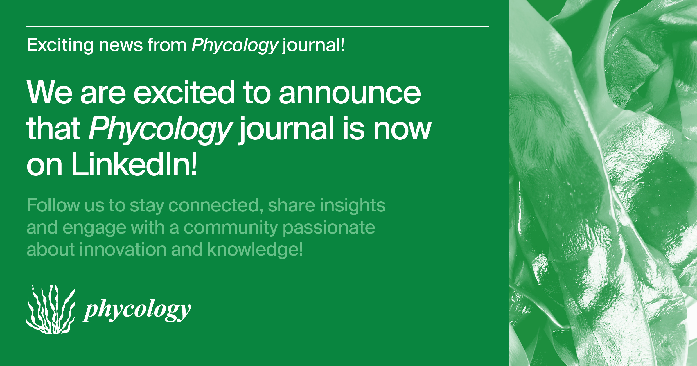 Phycology | Official LinkedIn Account