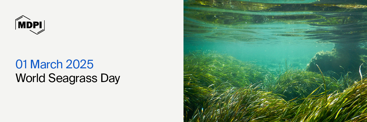 World Seagrass Day | Grooming Youth&mdash;Blooming Seagrass, 1 March 2025