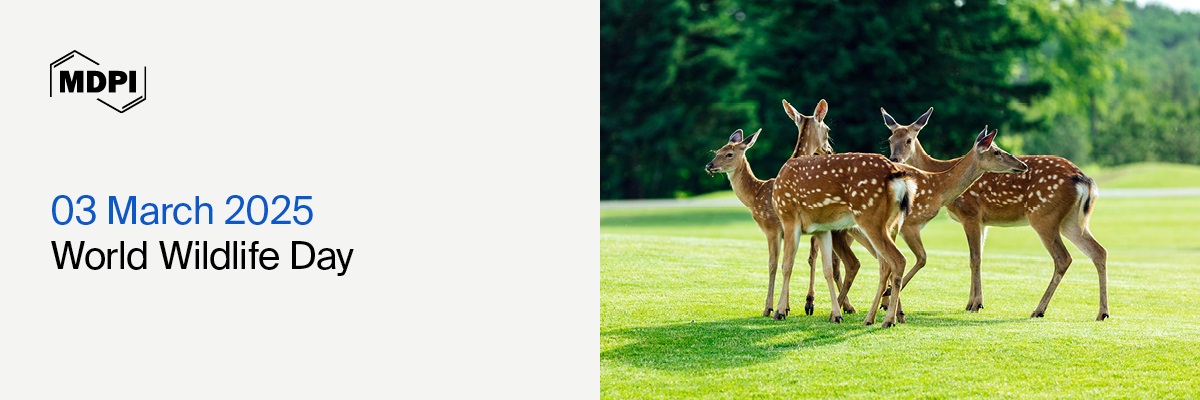 World Wildlife Day 2025&mdash;Wildlife Conservation Finance: Investing in People and Planet, 3 March 2025