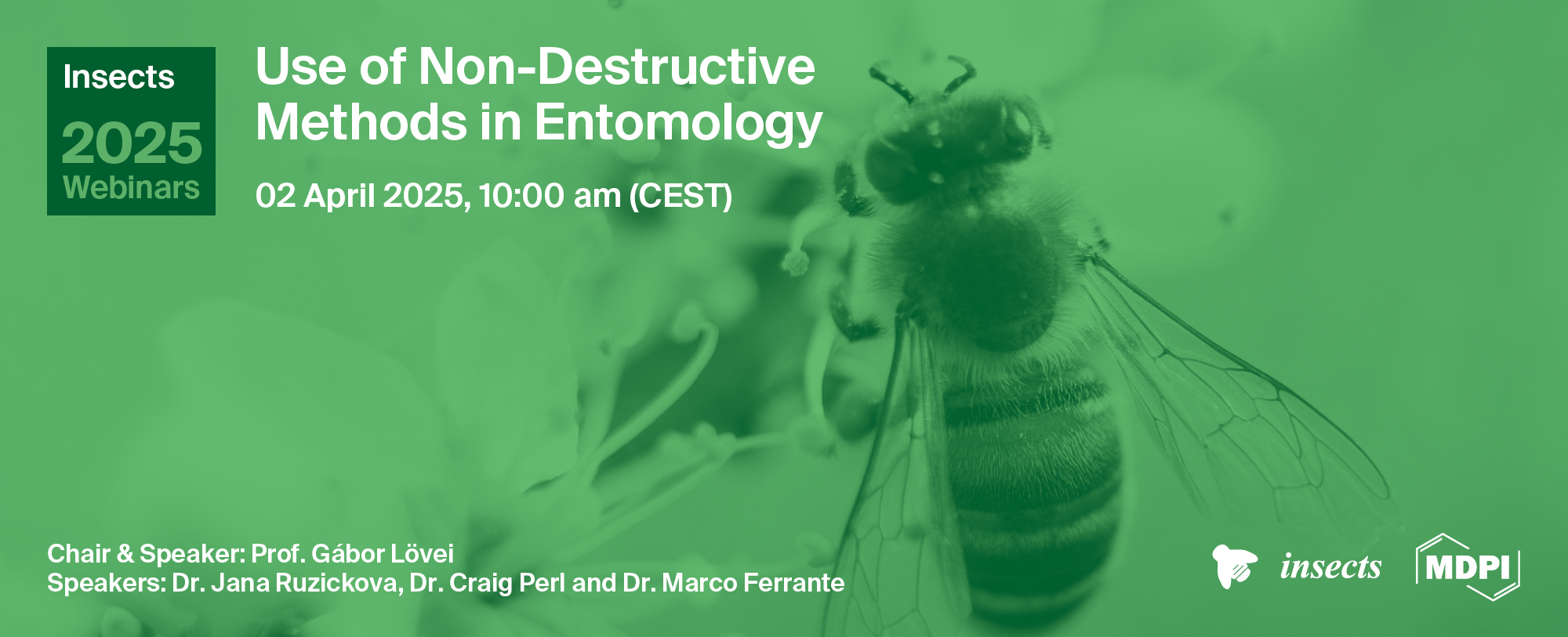 Insects Webinar | Use of Non-Destructive Methods in Entomology, 2 April 2025