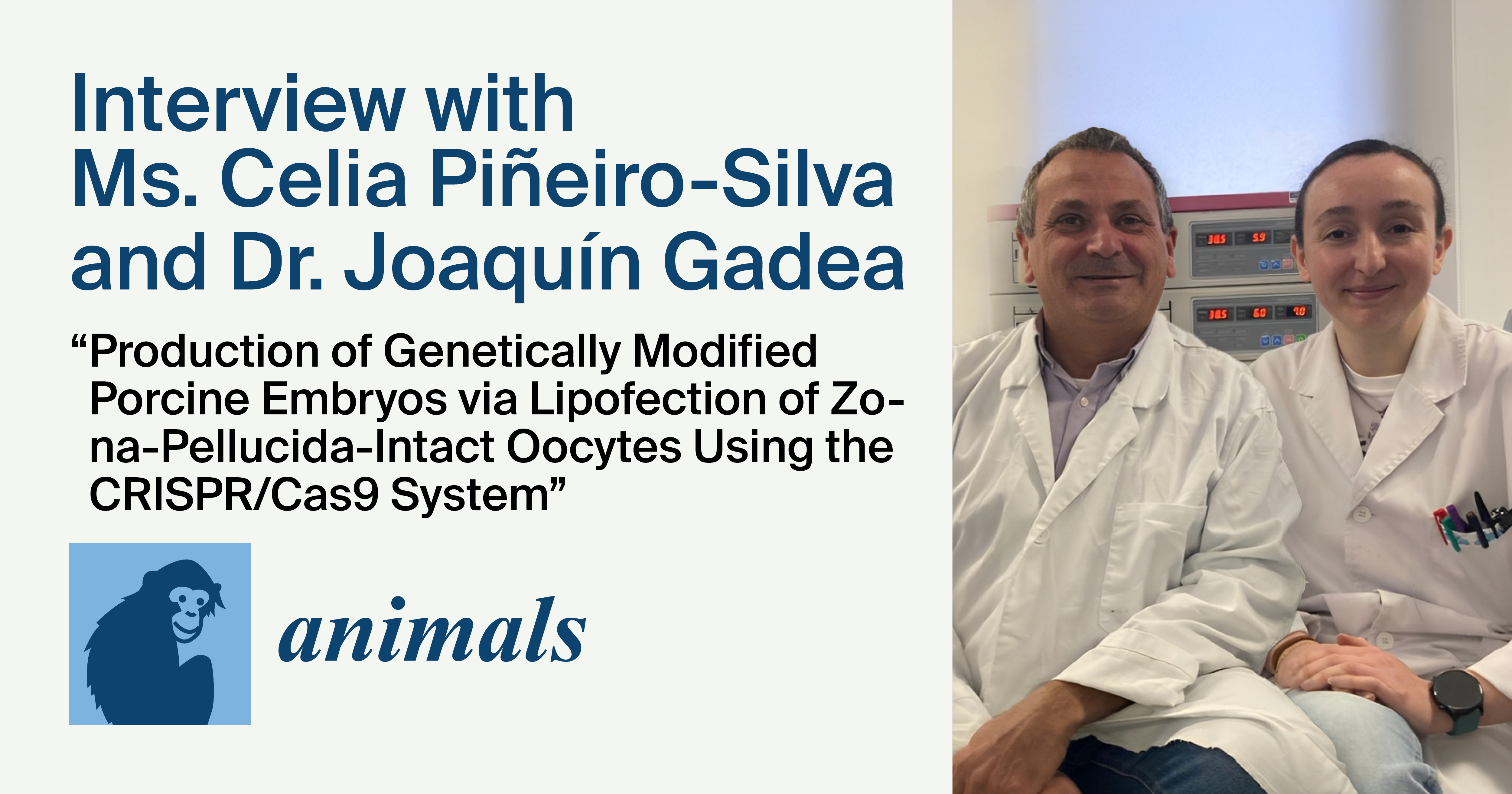 Animals | Interview with the Authors—Prof. Dr. Joaquín Gadea and Ms. Celia Piñeiro-Silva