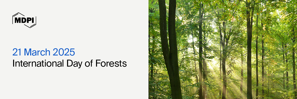International Day of Forests—“Forests and Food”, 21 March 2025