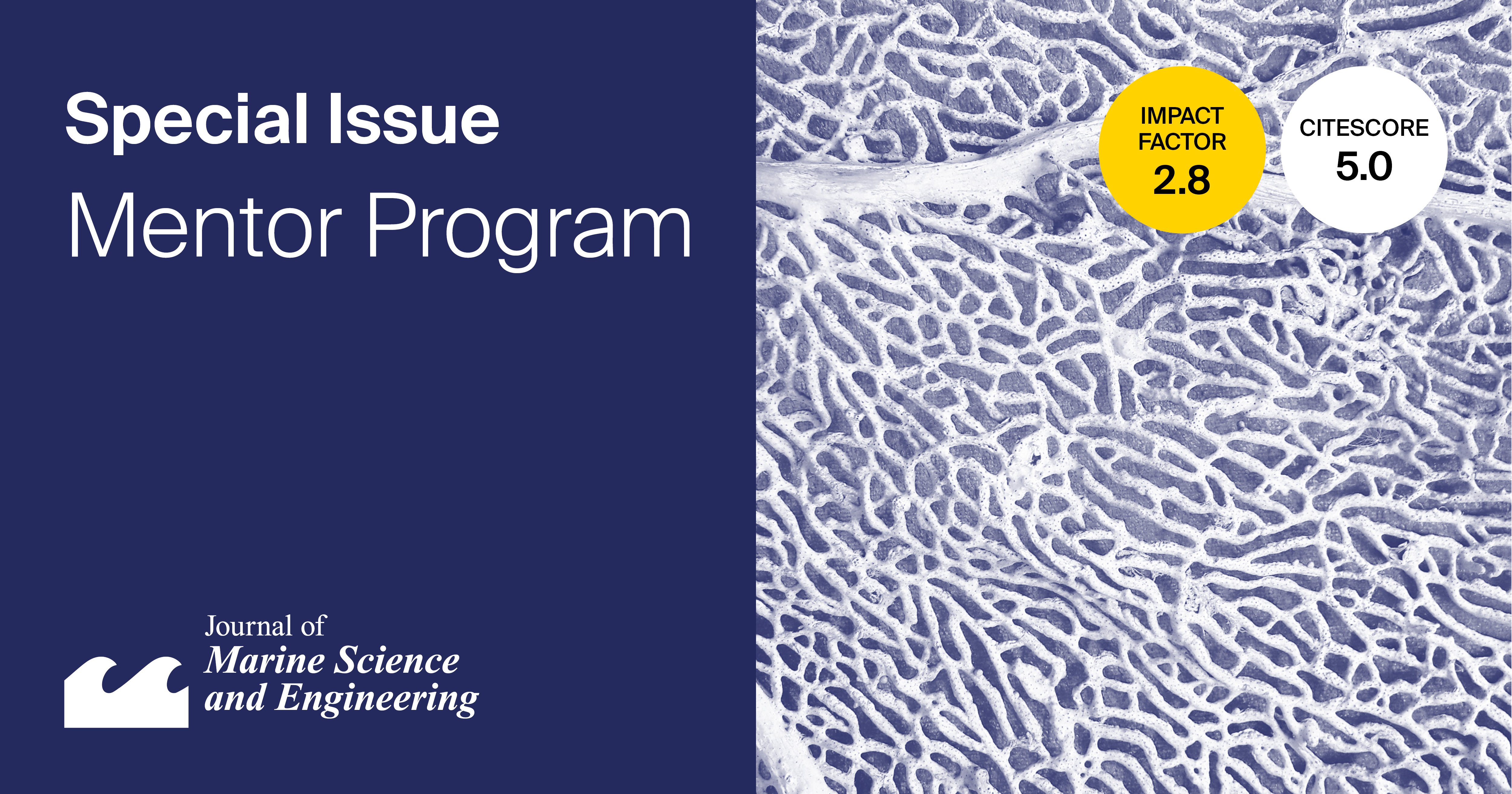 Journal of Marine Science and Engineering | Special Issue Mentor Program