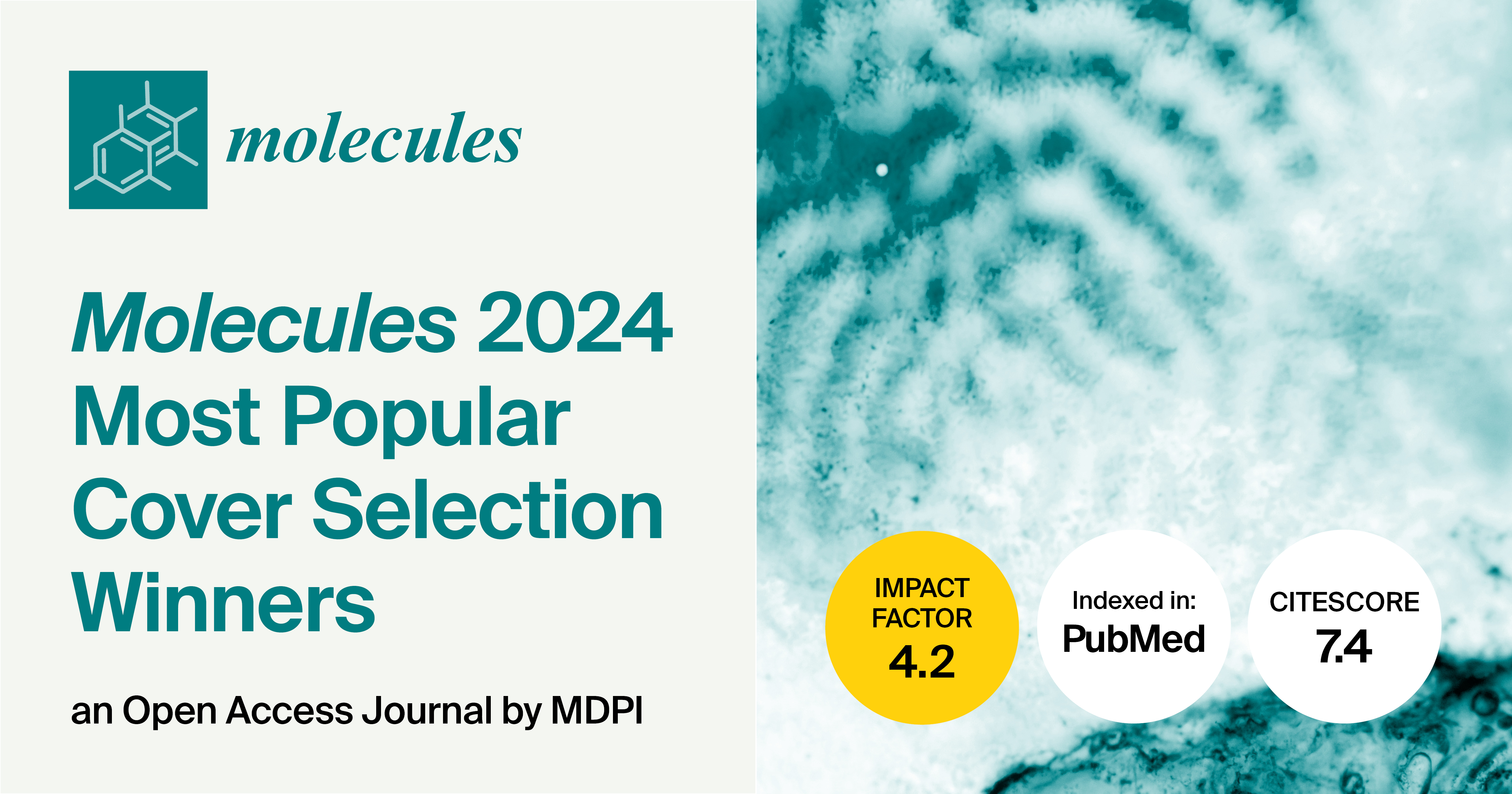 Molecules 2024 Most Popular Cover Selection—Winners Announcement
