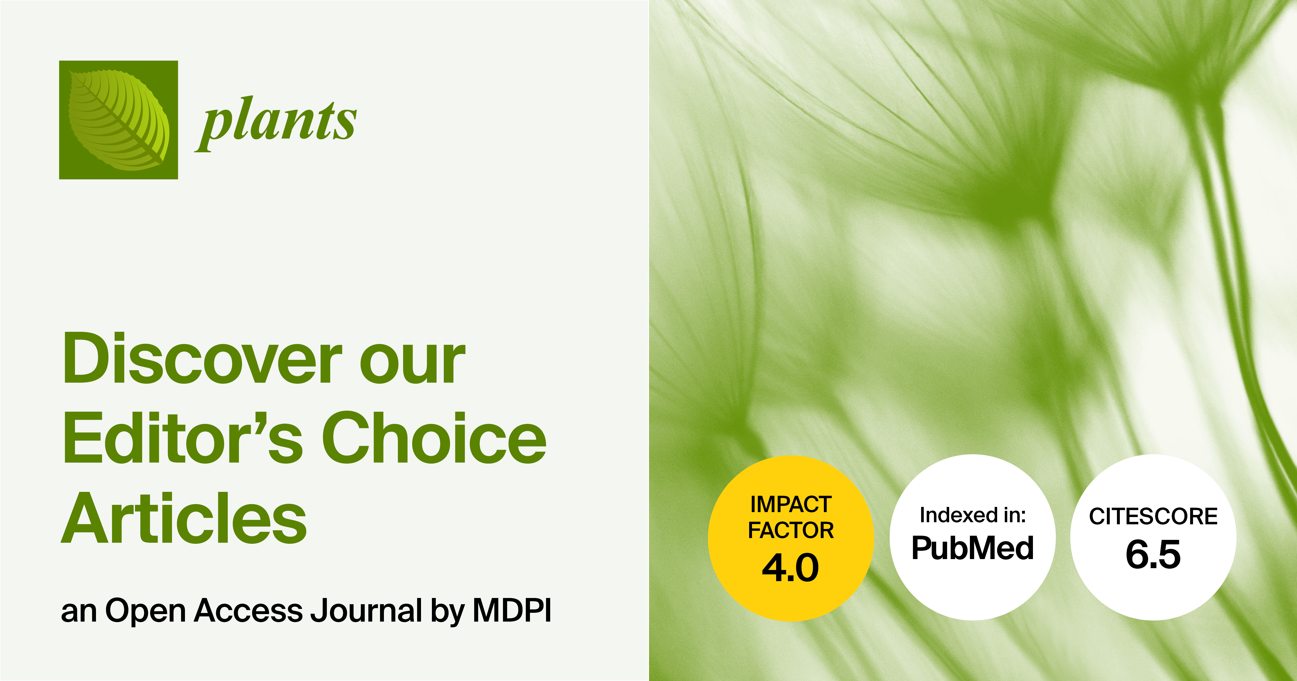 Plants | Editor’s Choice Articles in 2024 (Part I)