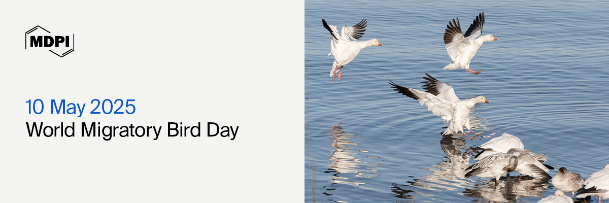 <strong>World Migratory Bird Day—“Shared Spaces: Creating Bird-Friendly Cities and Communities”, 10 May 2025</strong>