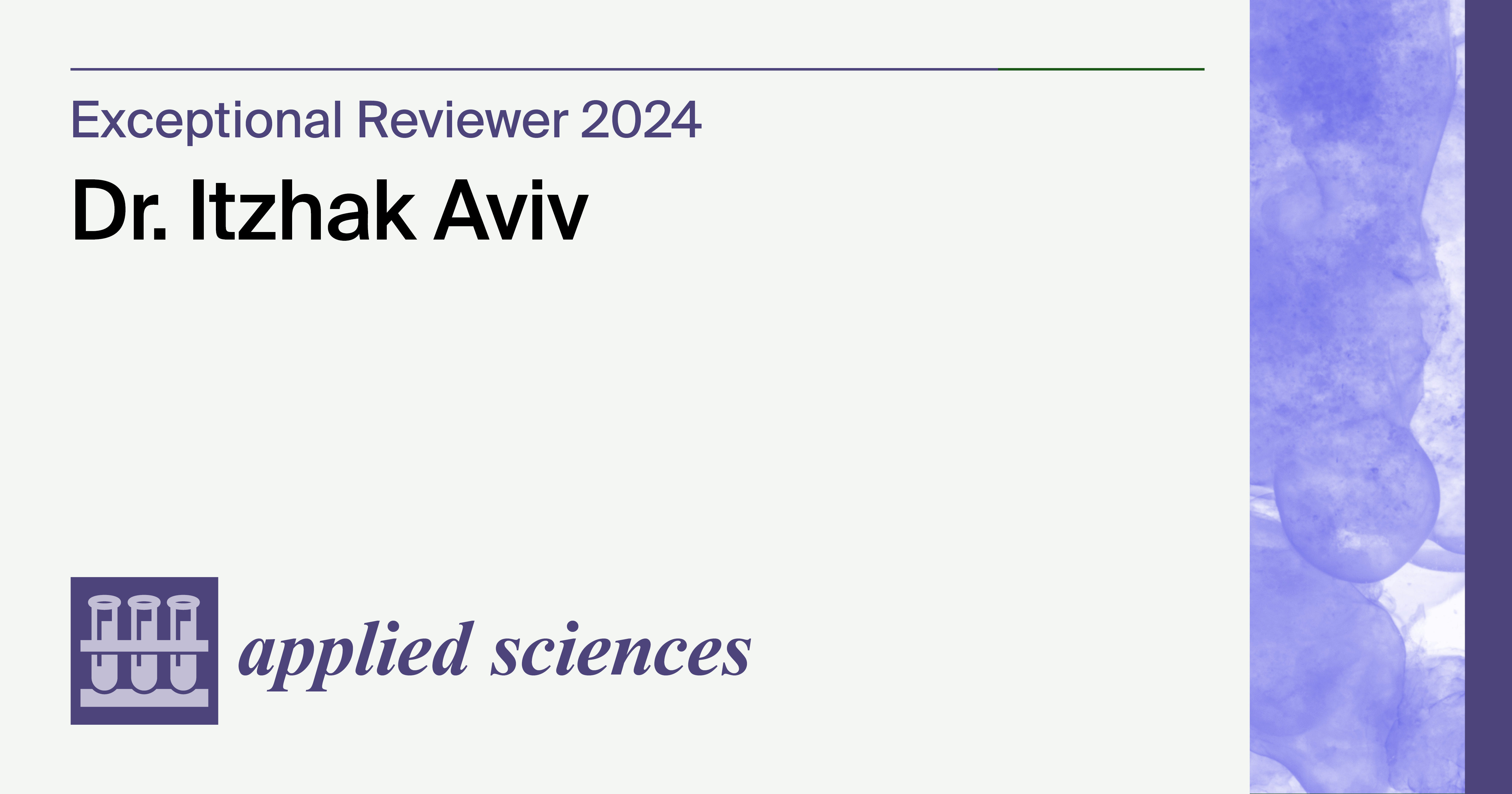 Interview with Dr. Itzhak Aviv—Applied Sciences Exceptional Reviewers 2024
