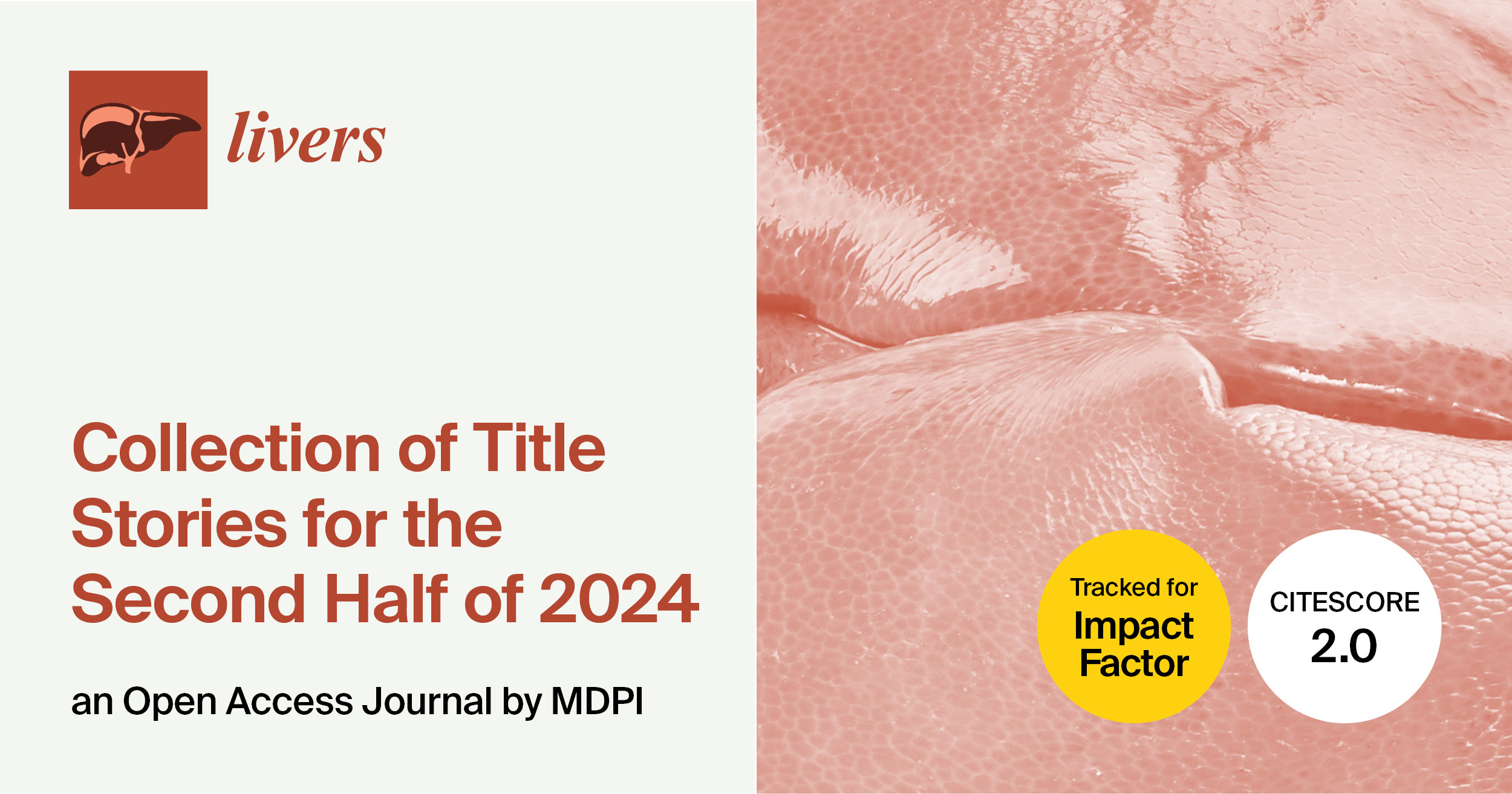 Livers | Title Story Articles from the Second Half of 2024