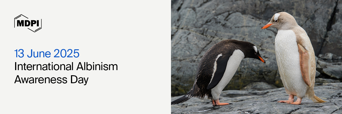 International Albinism Awareness Day—“Demanding Our Rights: Protect Our Skin, Preserve Our Lives”, 13 June 2025