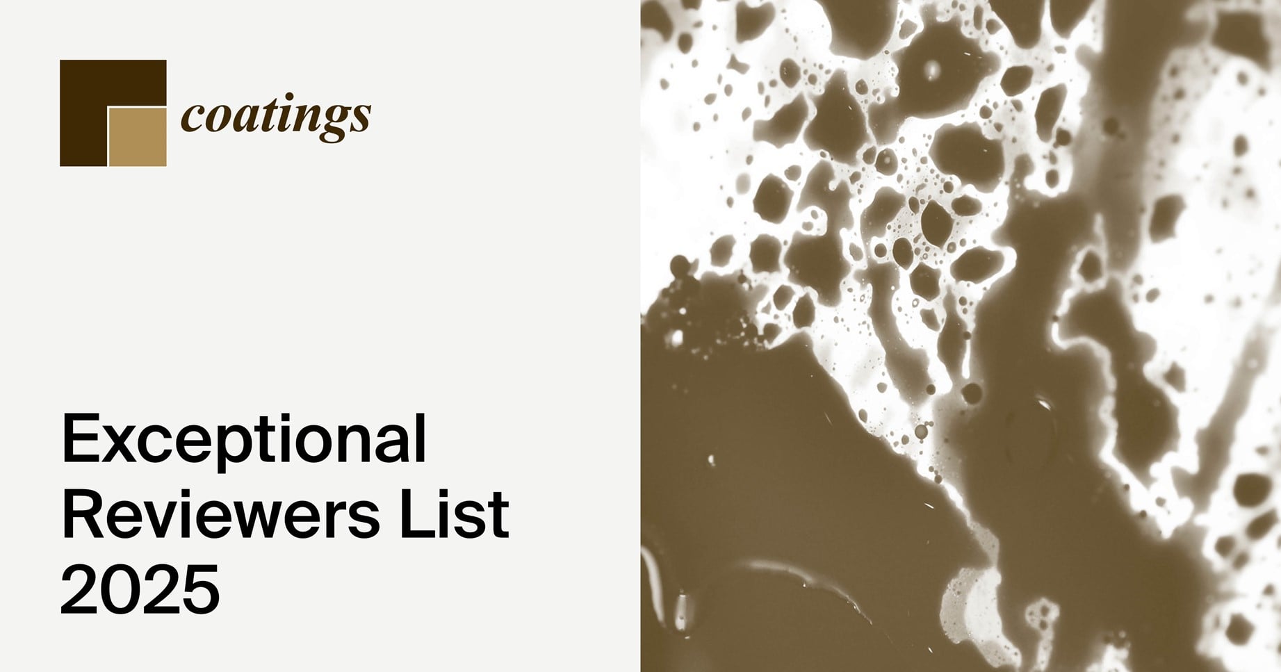Coatings Exceptional Reviewers List 2025