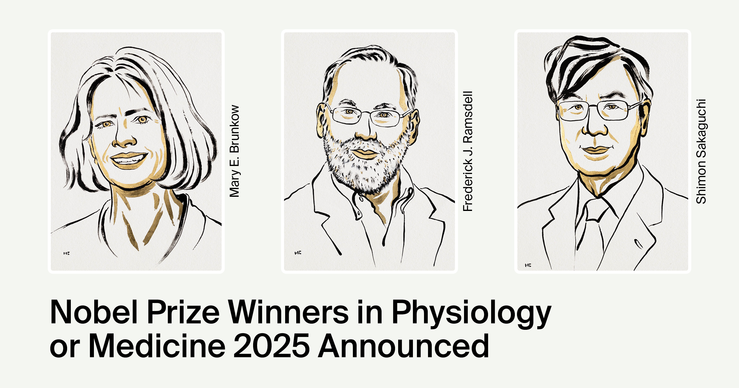 Nobel Prize in Medicine 2025 Awarded for Discoveries on Immune System Regulation