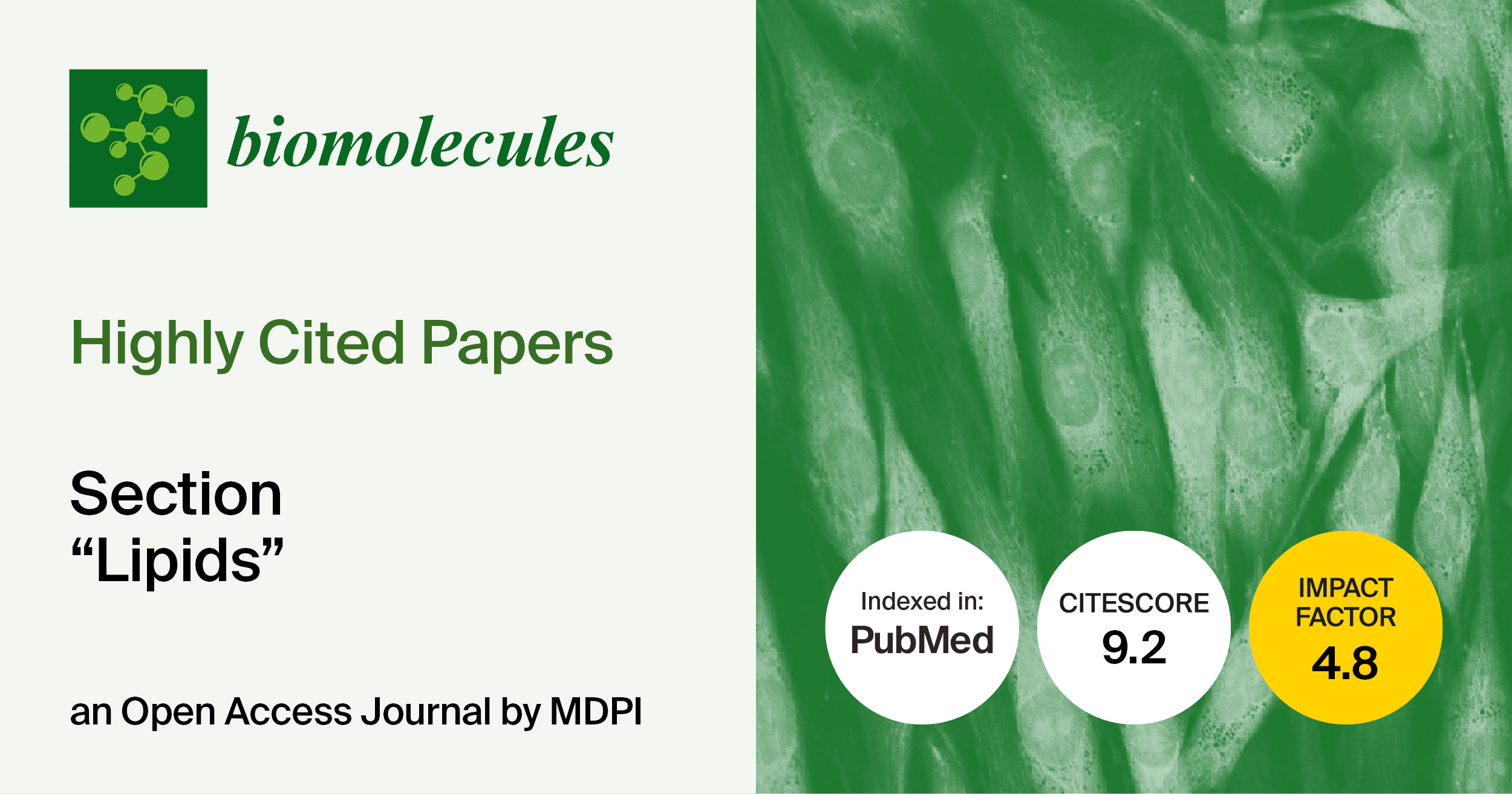 <strong><em>Biomolecules </em>| Highly Cited Papers in 2024&ndash;2025 in the &ldquo;Lipids&rdquo; Section</strong>