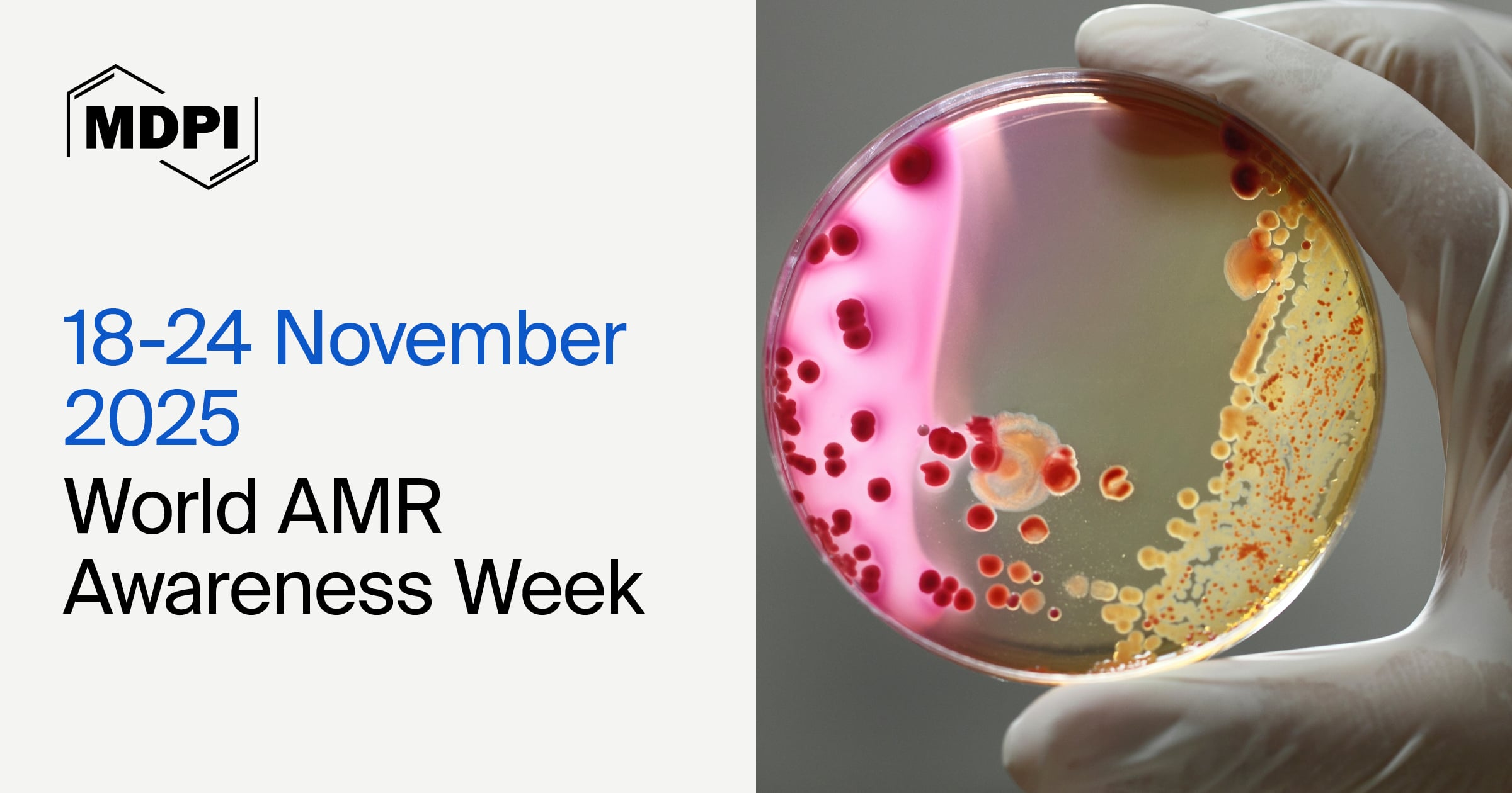 World AMR Awareness Week—“Act Now: Protect Our Present, Secure Our Future”, 18–24 November 2025