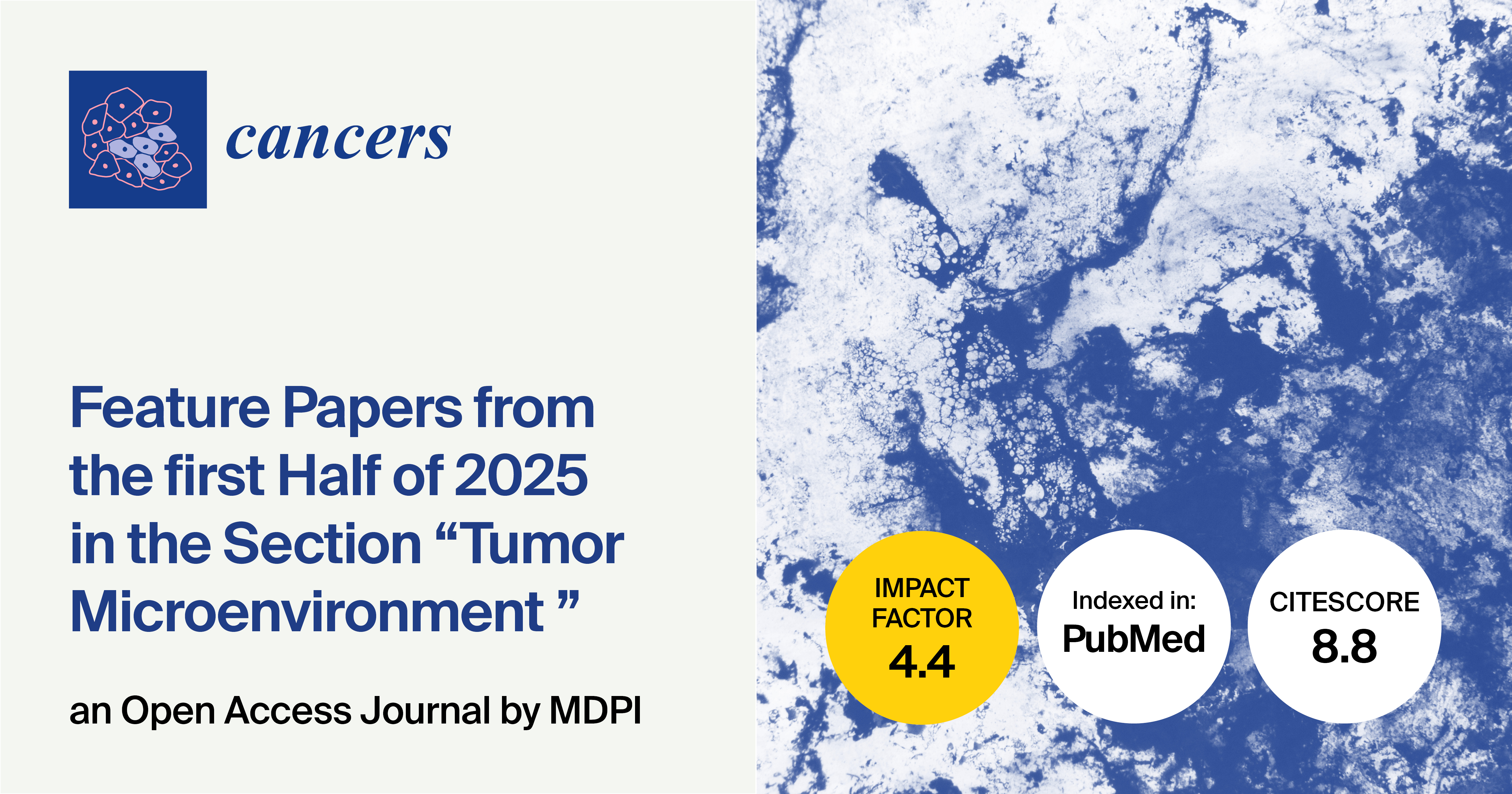 Cancers |  Feature Papers from the First Half of 2025 in the “Tumor Microenvironment” Section