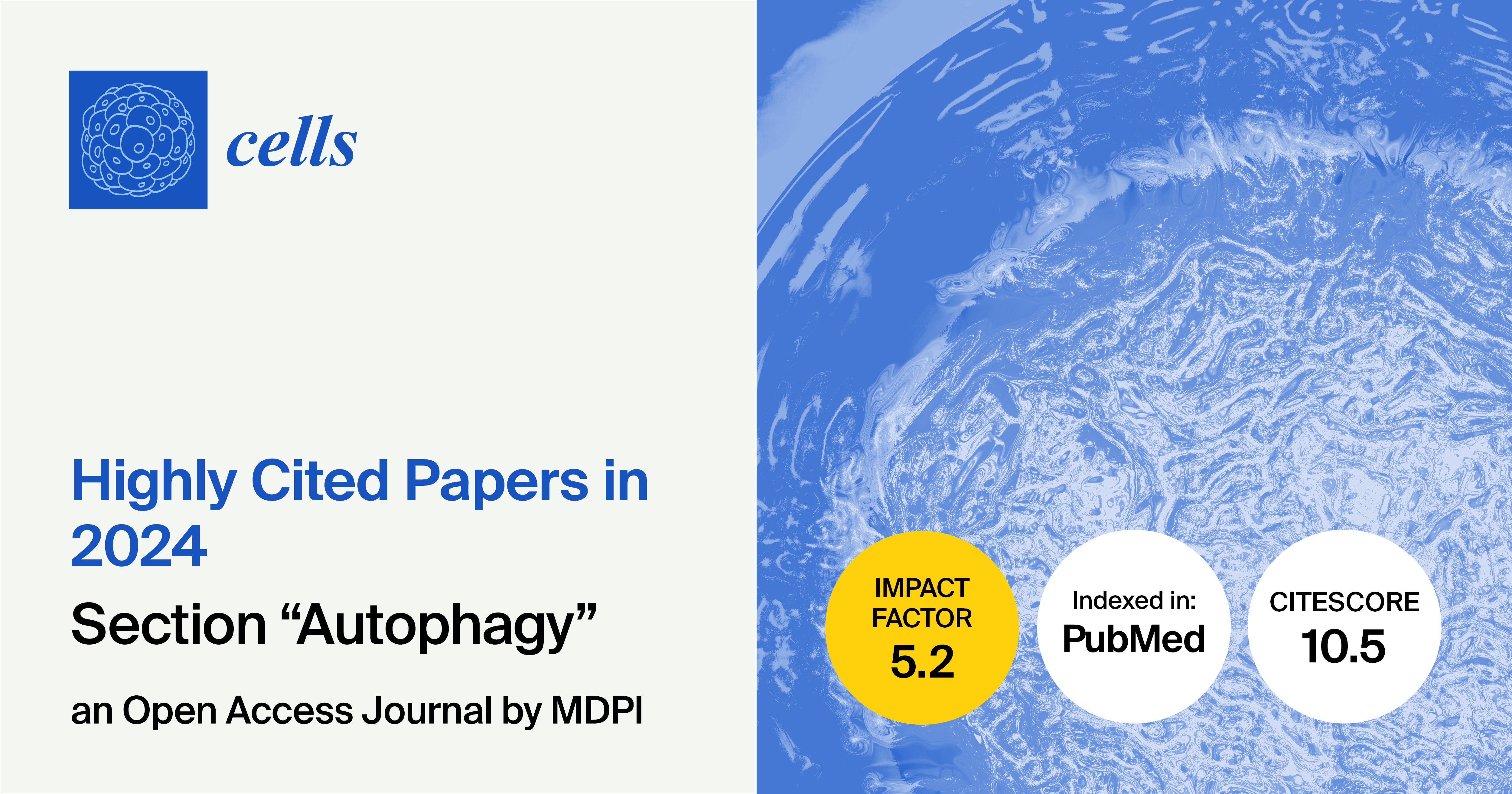 Cells | Highly Cited Papers Published in 2024 in the “Autophagy” Section
