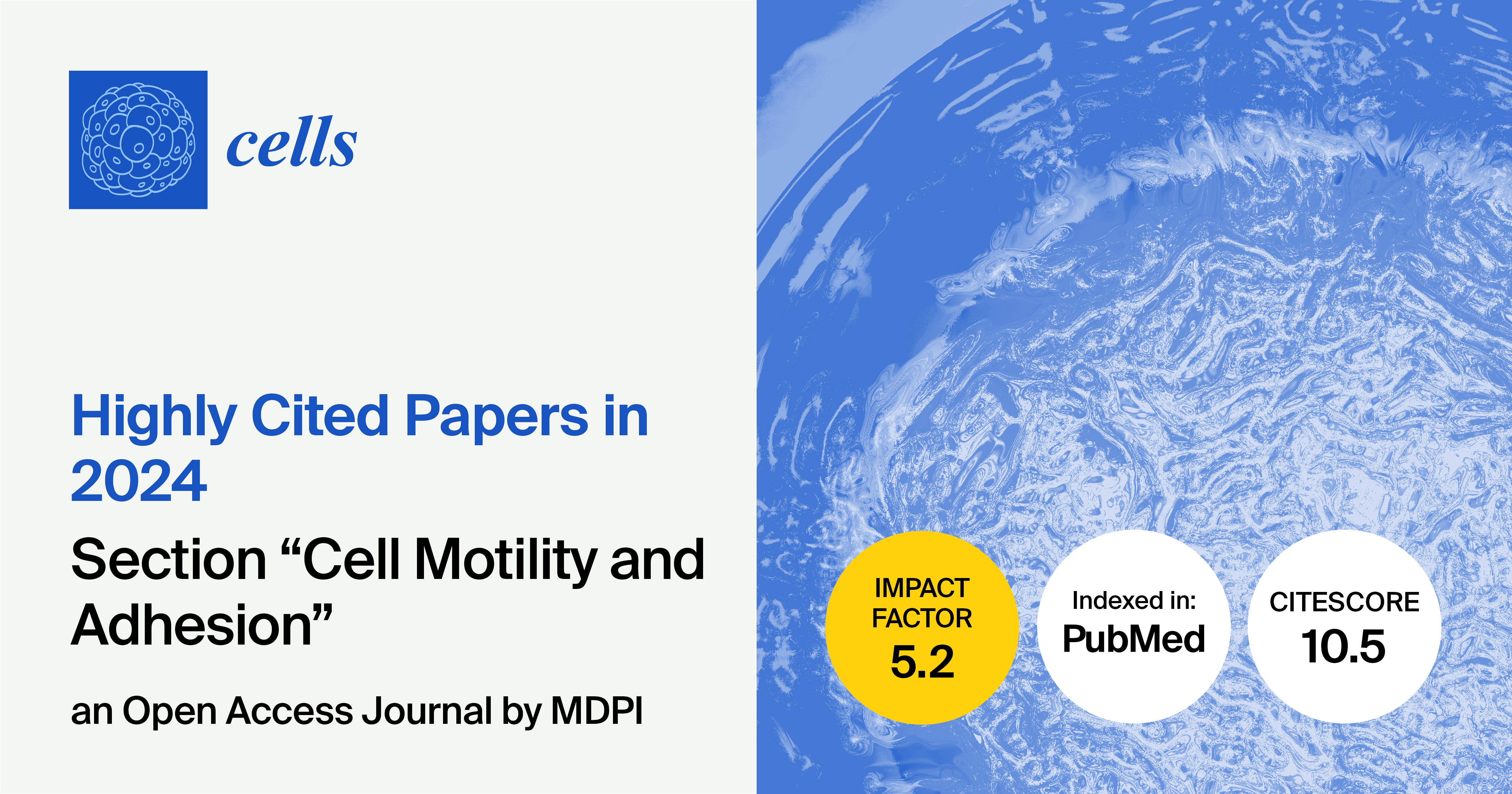 Cells | Highly Cited Papers Published in 2024 in the “Cell Motility and Adhesion” Section