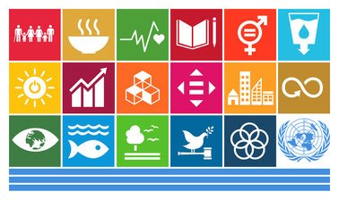The UN Sustainable Development Goals: an Interdisciplinary Academic Introduction