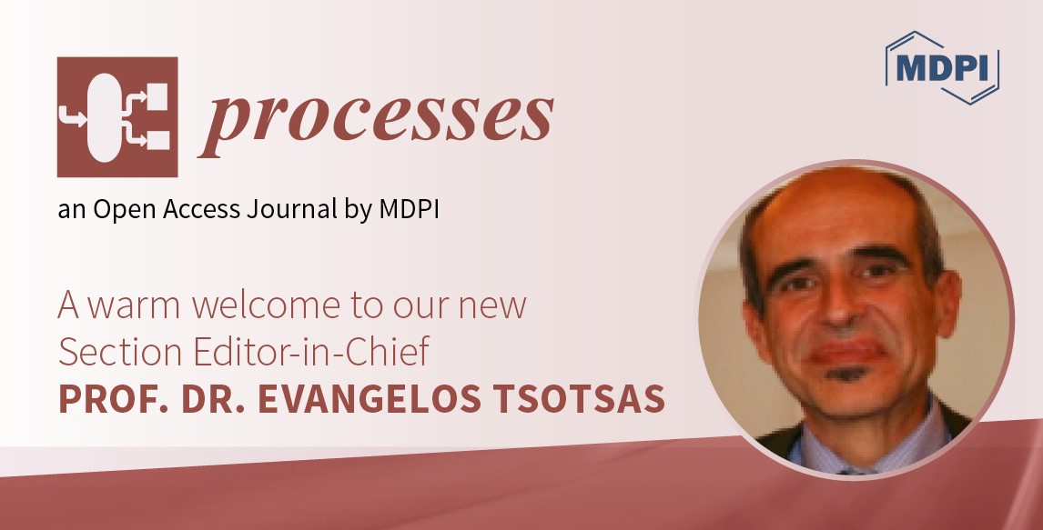 Prof. Dr. Evangelos Tsotsas Appointed Section Editor-in-Chief of "Particle Processes" in Processes