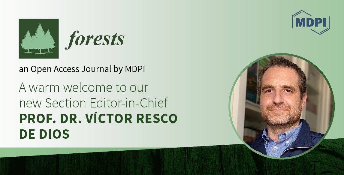 Prof. Dr. Víctor Resco de Dios Appointed Section Editor-in-Chief of the Section “Natural Hazards and Risk Management” in Forests