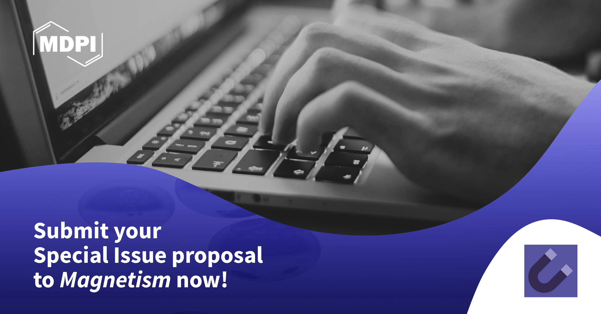 Magnetism | Special Issue Mentor Program