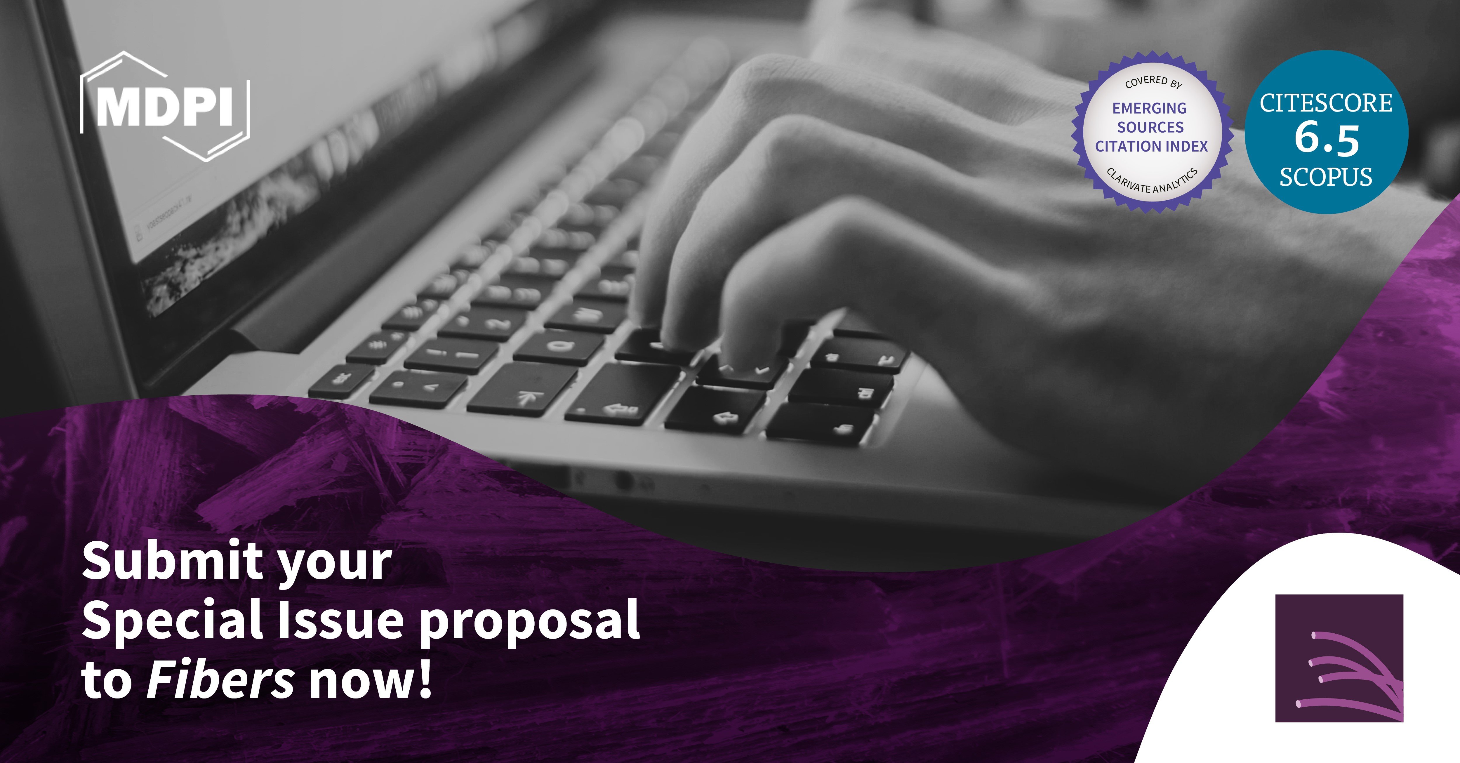 Fibers | Special Issue Mentor Program