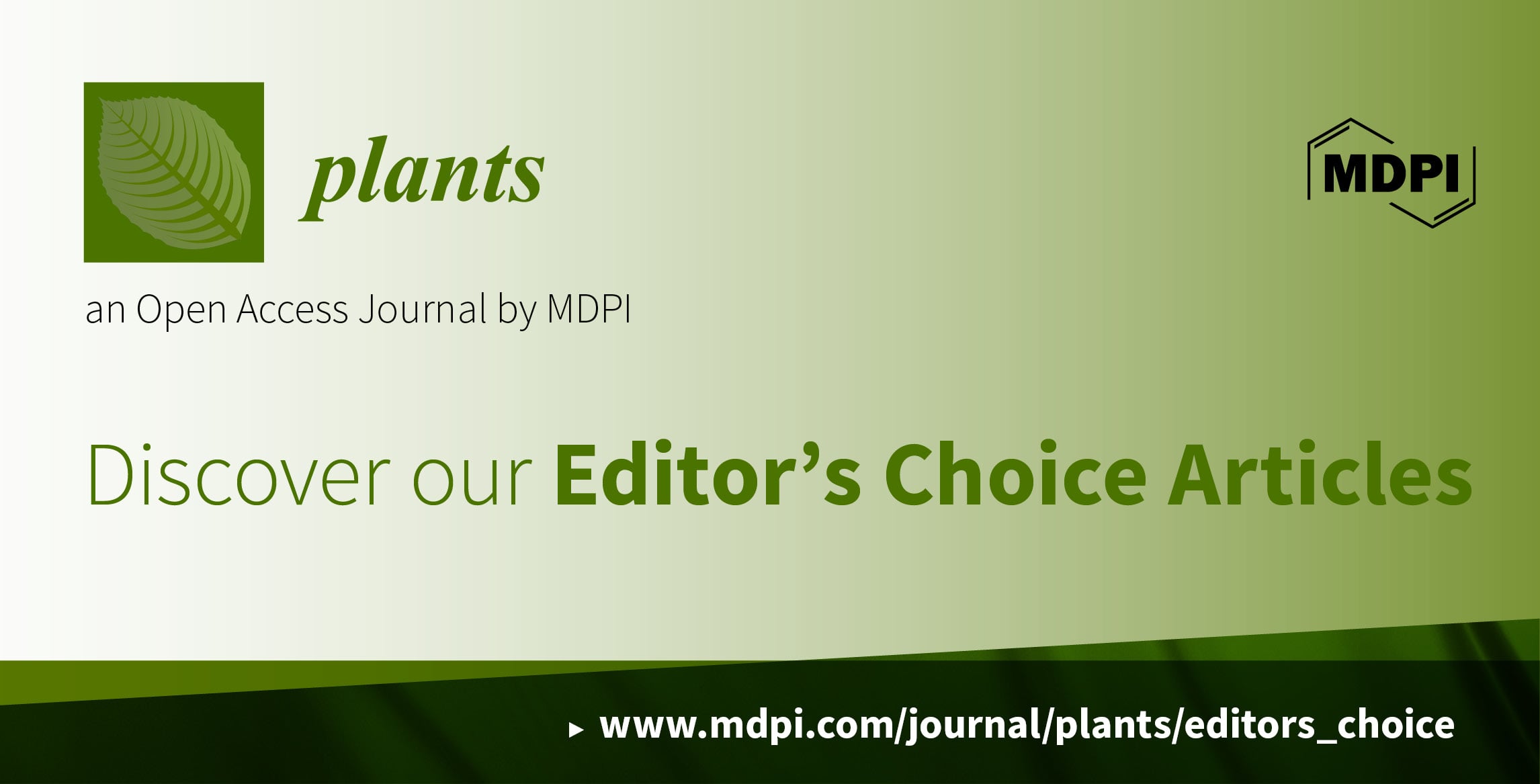Plants | Invitation to Read Editor's Choice Articles in 2021