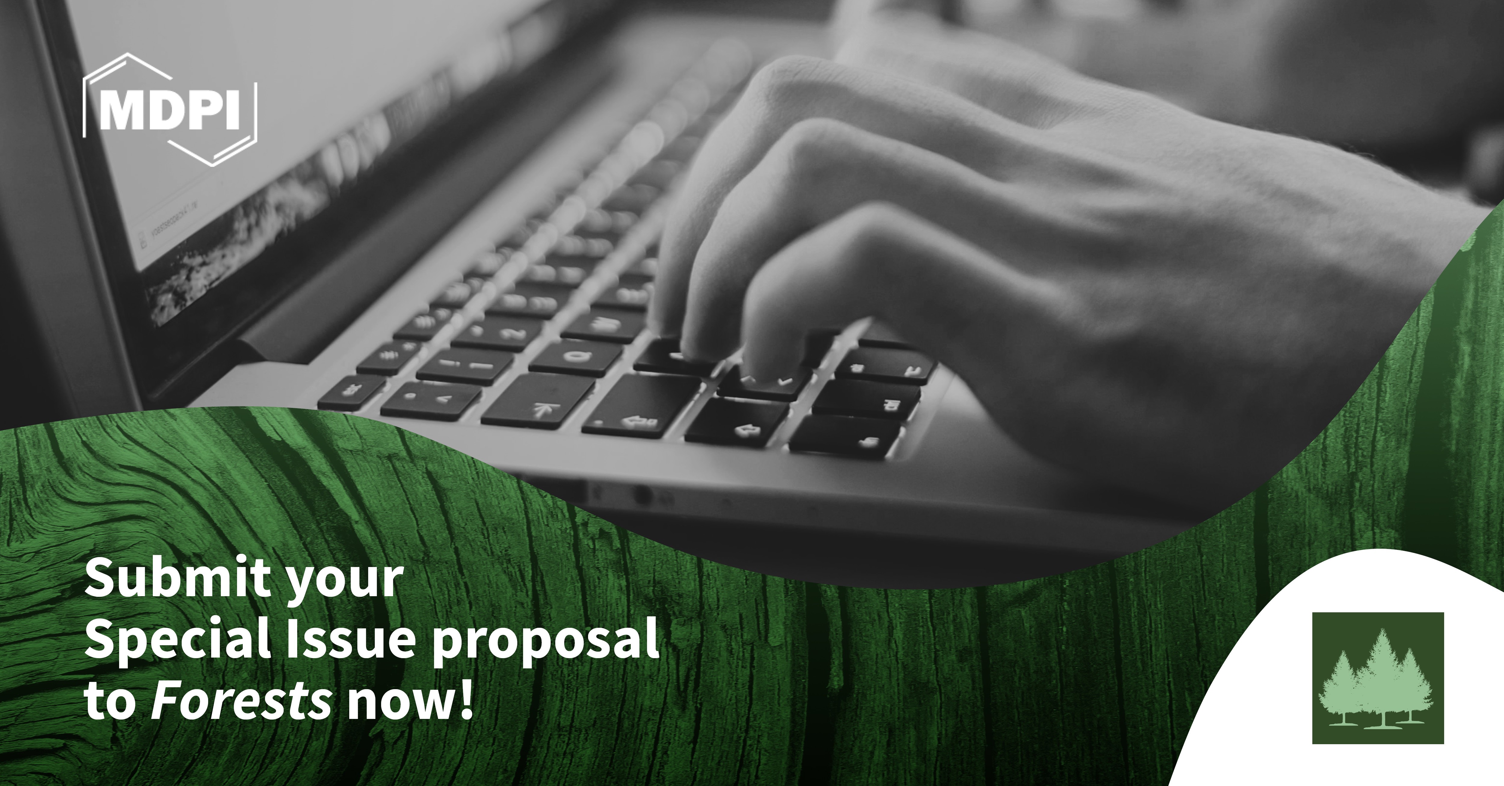 <em>Forests</em> | Special Issue Mentor Program