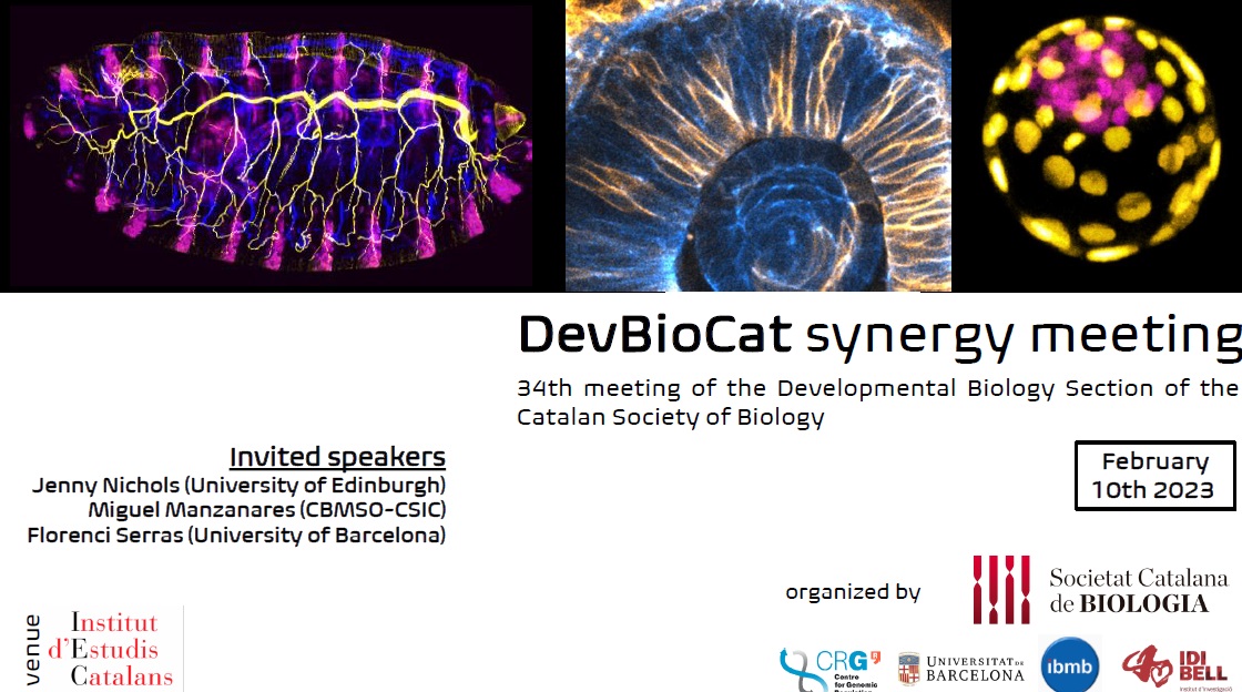 Media Partnership between Genes and the 34th Meeting of the Developmental Biology Section of the Catalan Society of Biology