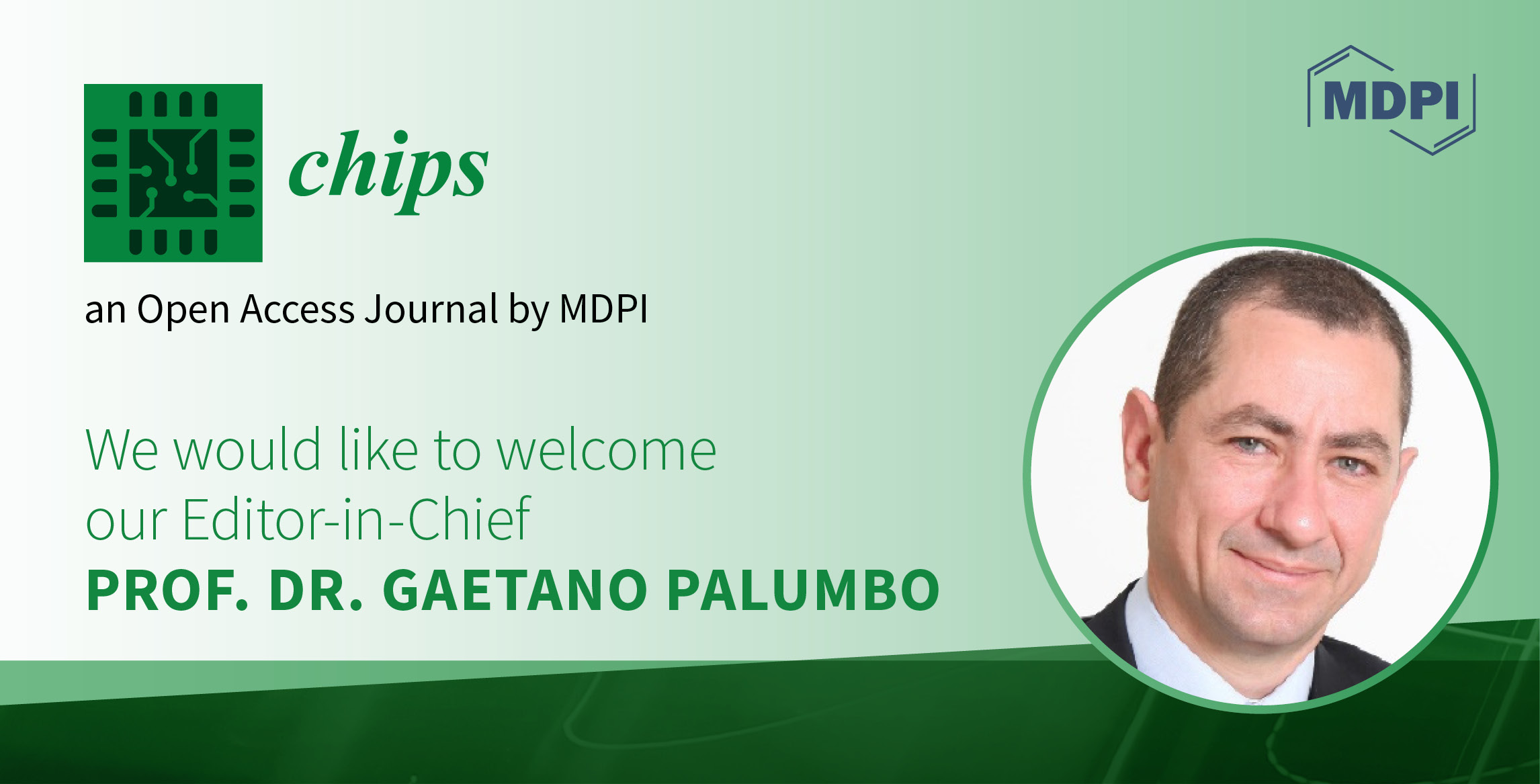 Prof. Dr. Gaetano Palumbo Appointed Founding Editor-in-Chief of Chips