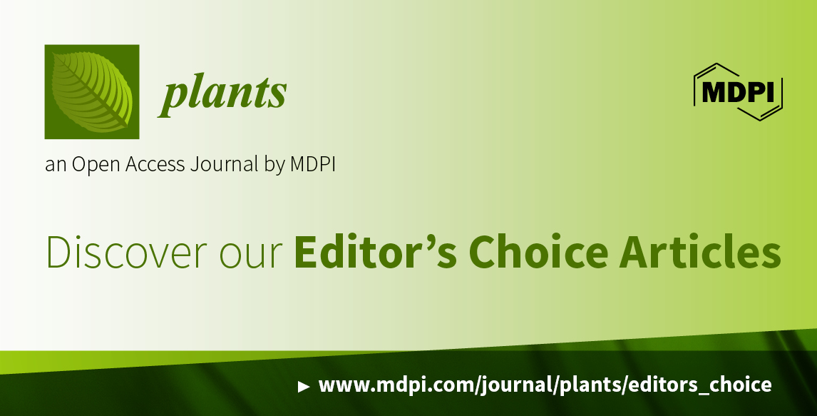 Plants | Invitation to Read Editor’s Choice Articles in 2022