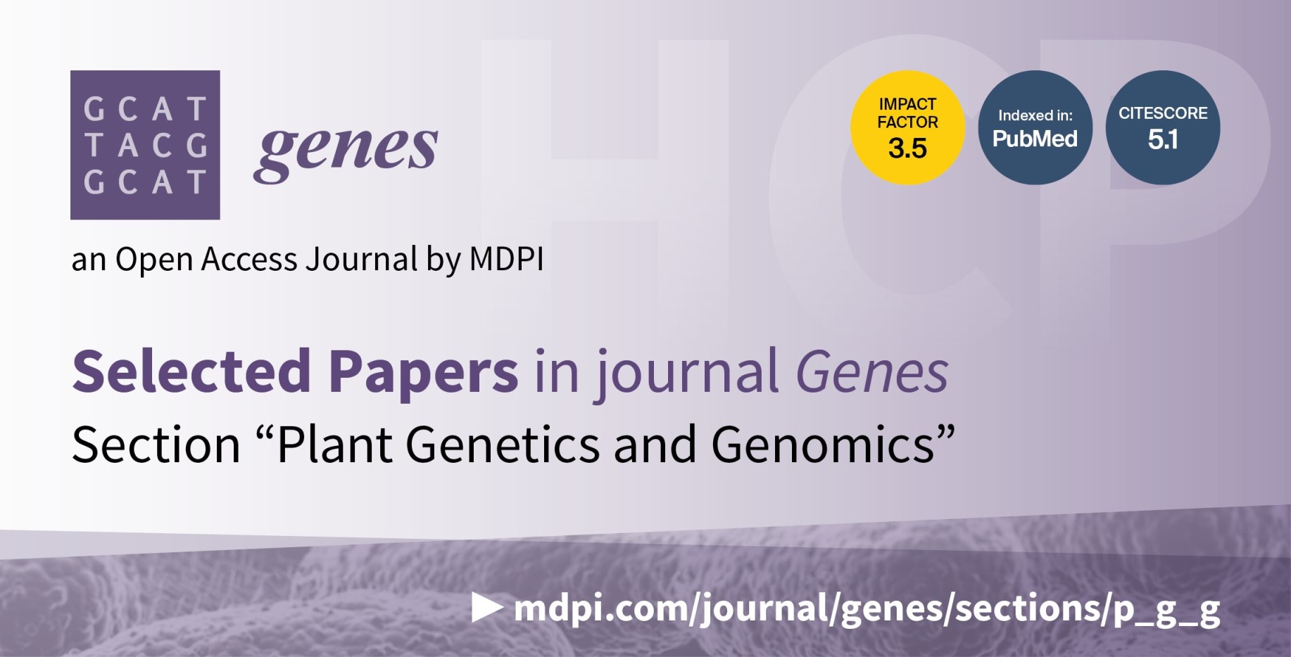 Genes | Top 10 Cited Papers in 2021–2022 in the Section “Plant Genetics and Genomics”
