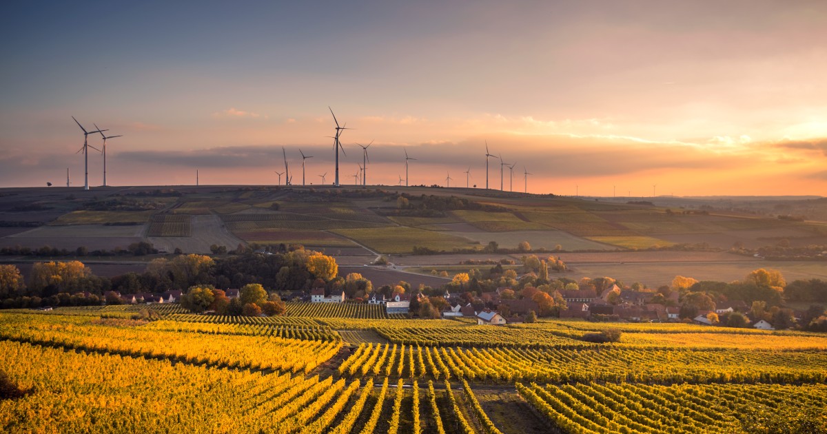 Scilit Feature Update - Fall 2023