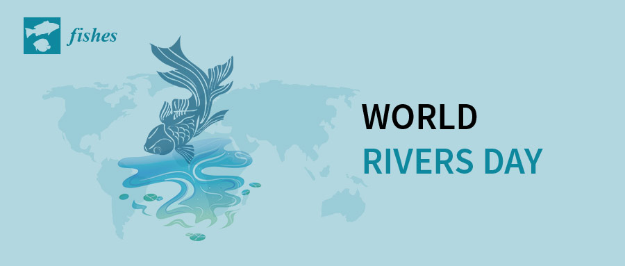 Fishes | Selected Papers for World Rivers Day 2023
